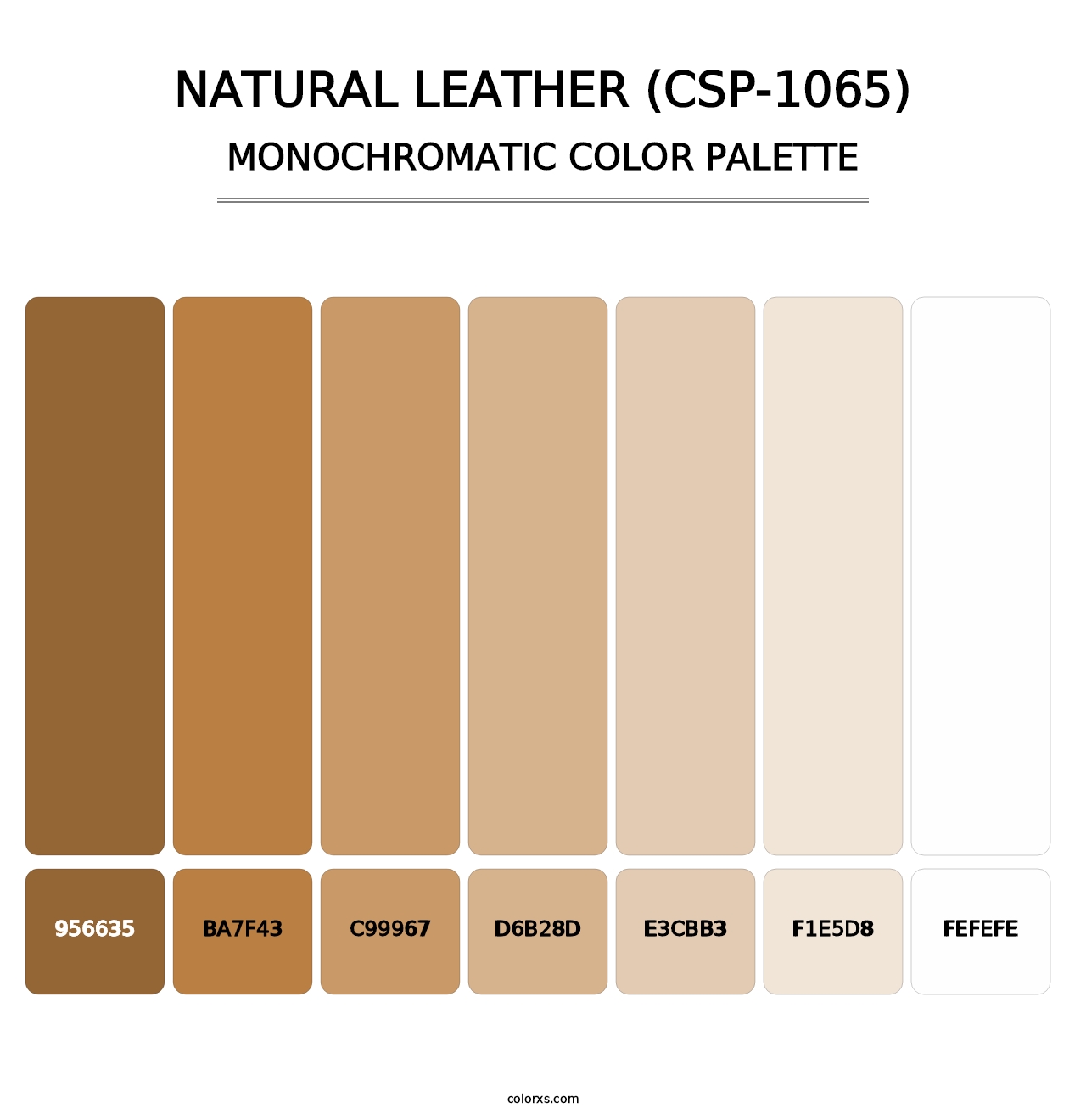 Natural Leather (CSP-1065) - Monochromatic Color Palette
