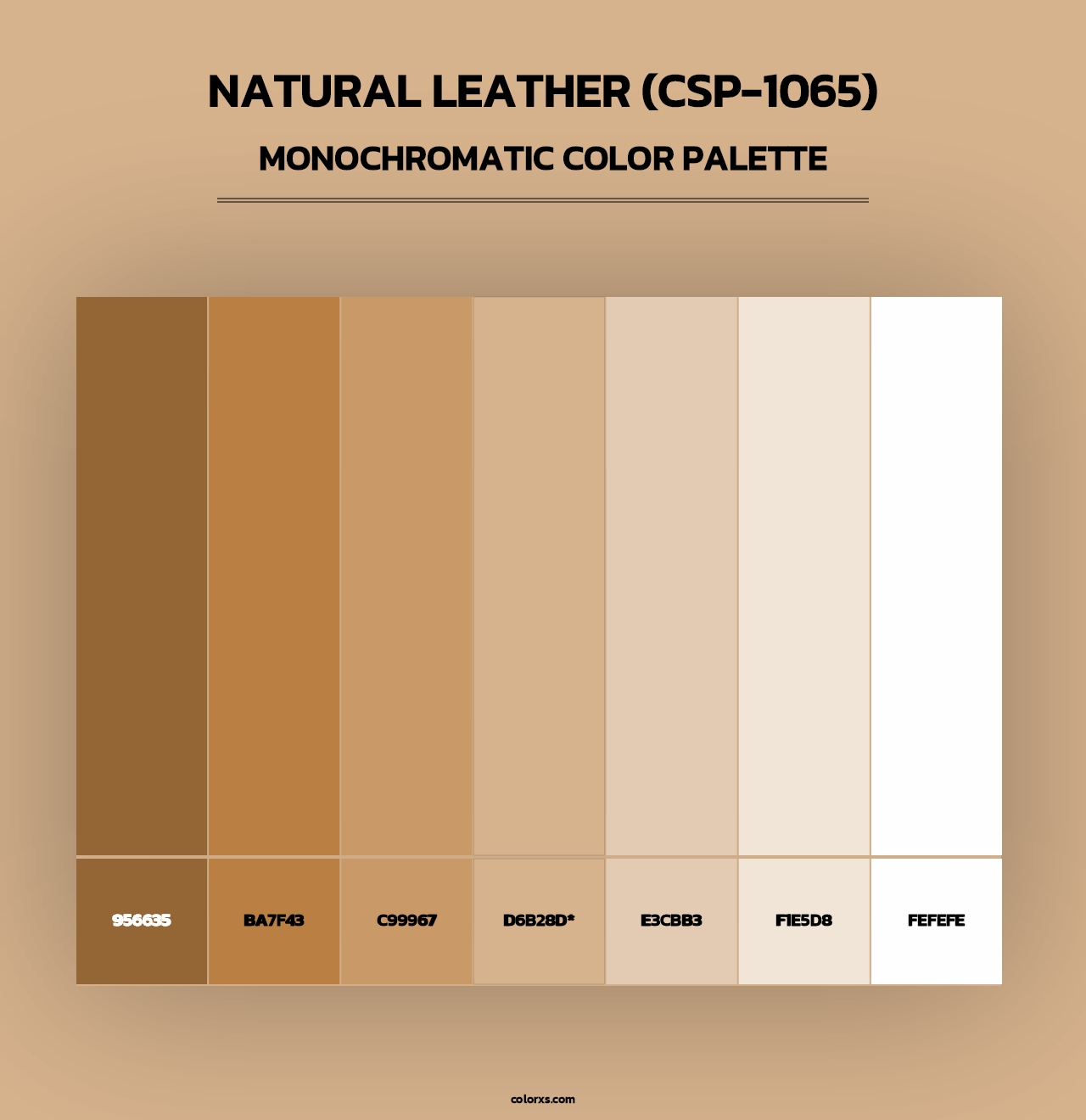 Natural Leather (CSP-1065) - Monochromatic Color Palette