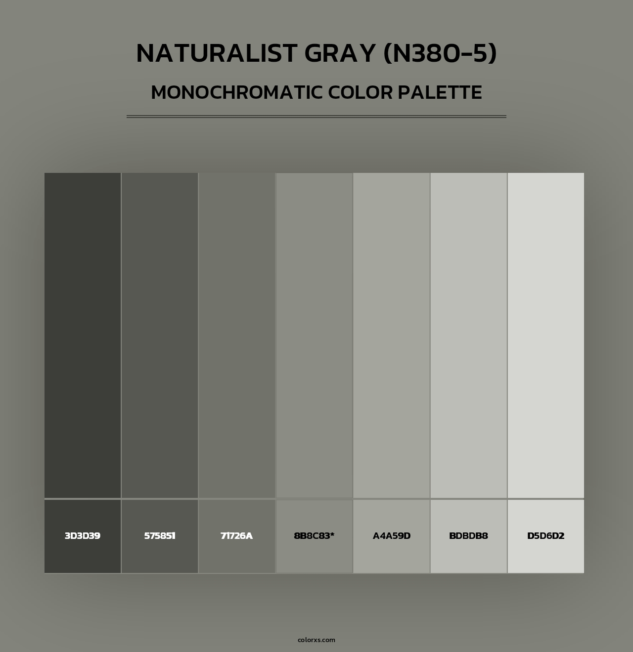Naturalist Gray (N380-5) - Monochromatic Color Palette