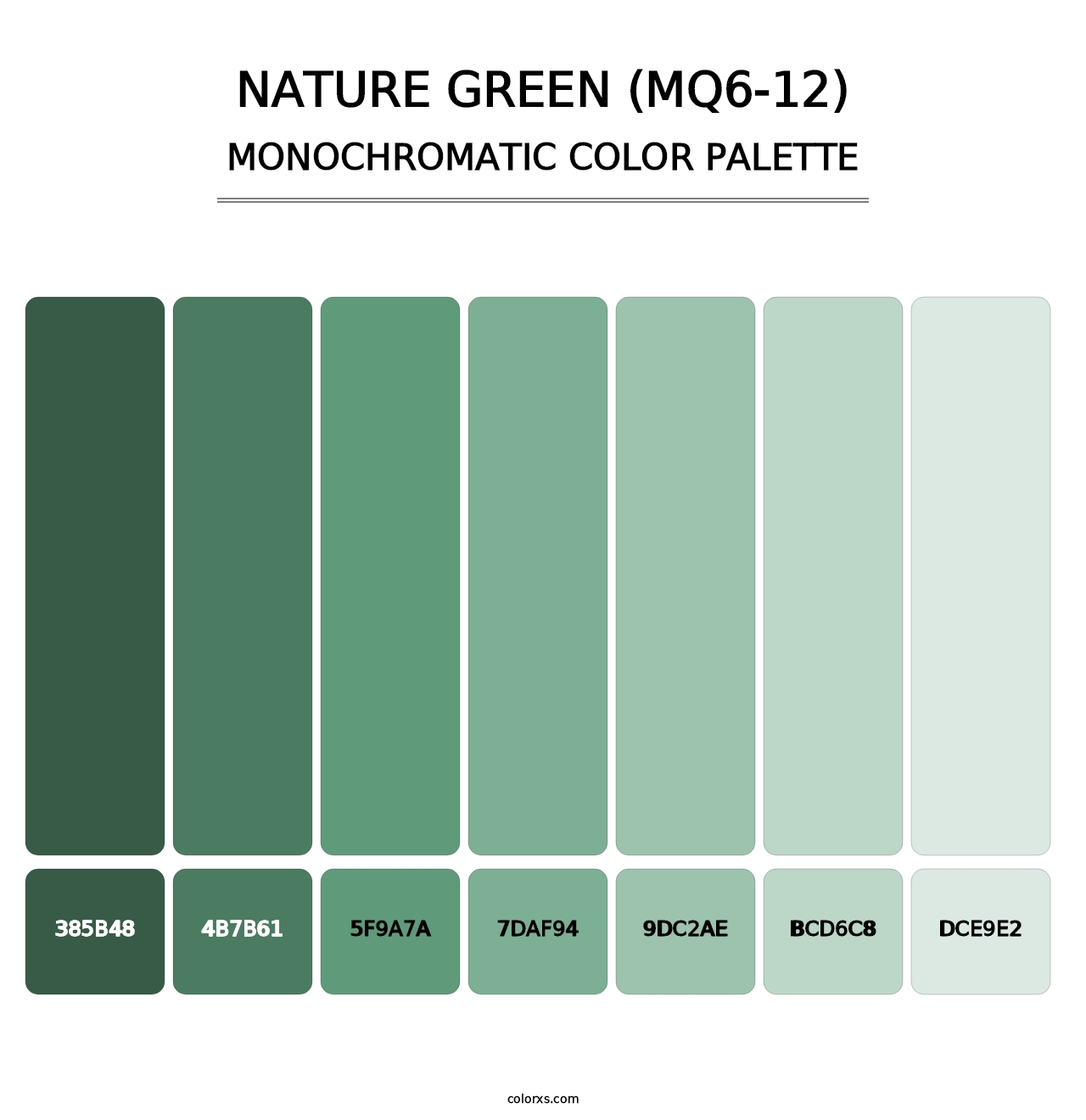 Nature Green (MQ6-12) - Monochromatic Color Palette