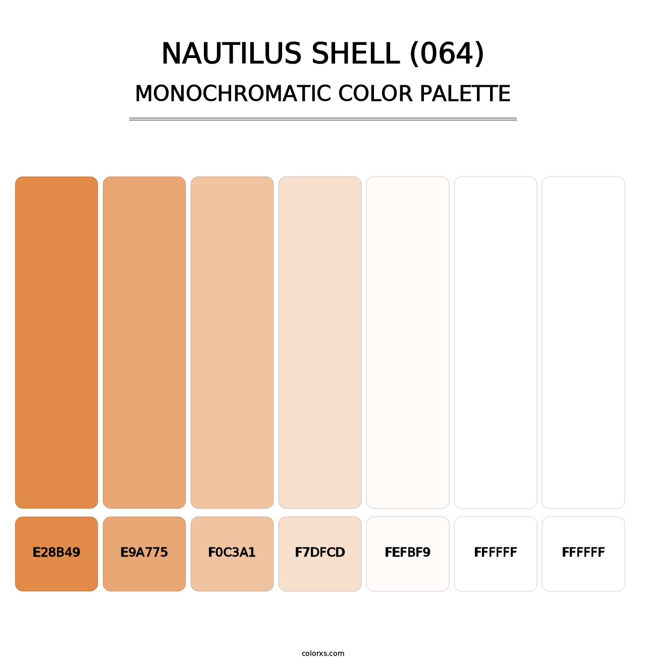 Nautilus Shell (064) - Monochromatic Color Palette