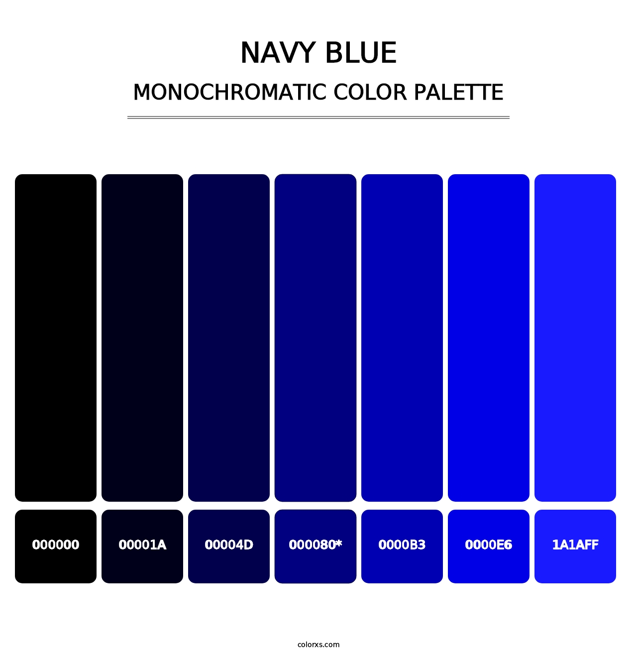 Navy Blue - Monochromatic Color Palette