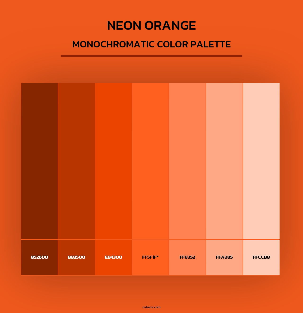Neon Orange - Monochromatic Color Palette