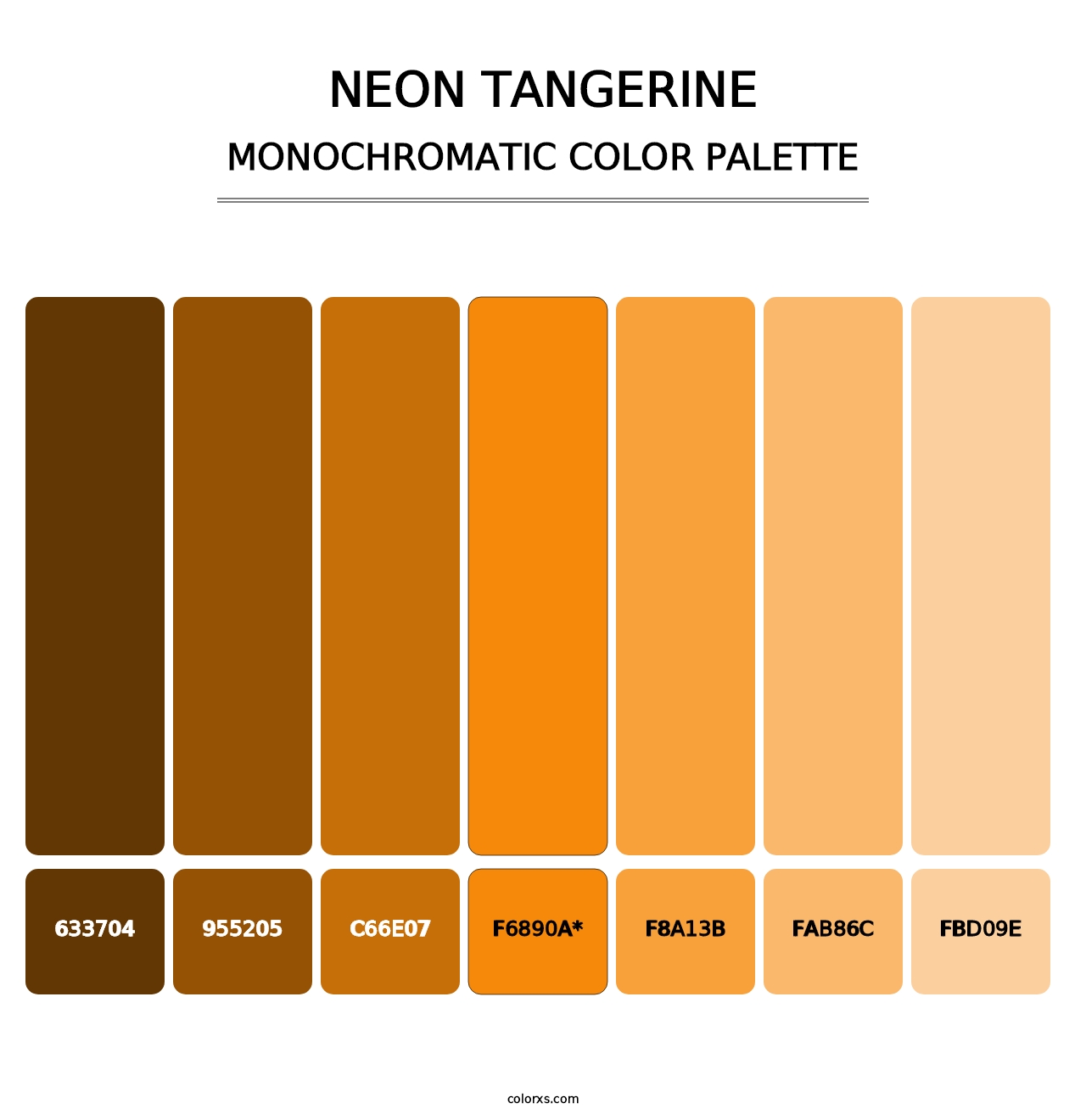 Neon Tangerine - Monochromatic Color Palette