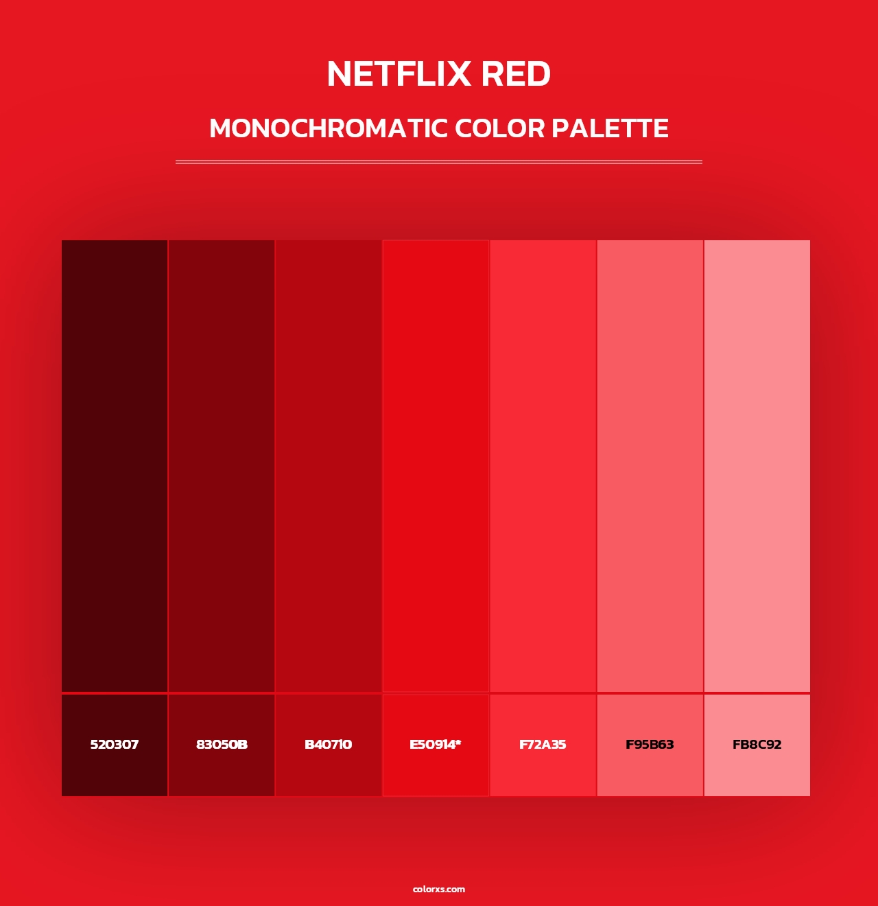 Netflix Red - Monochromatic Color Palette