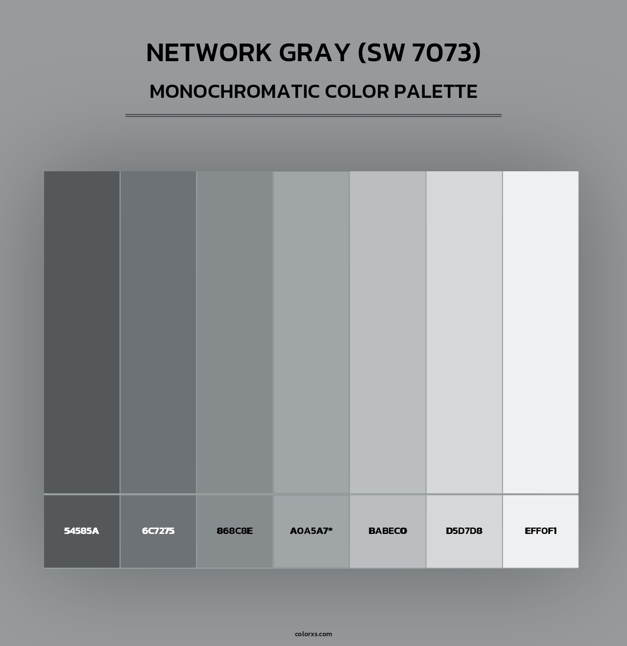 Network Gray (SW 7073) - Monochromatic Color Palette