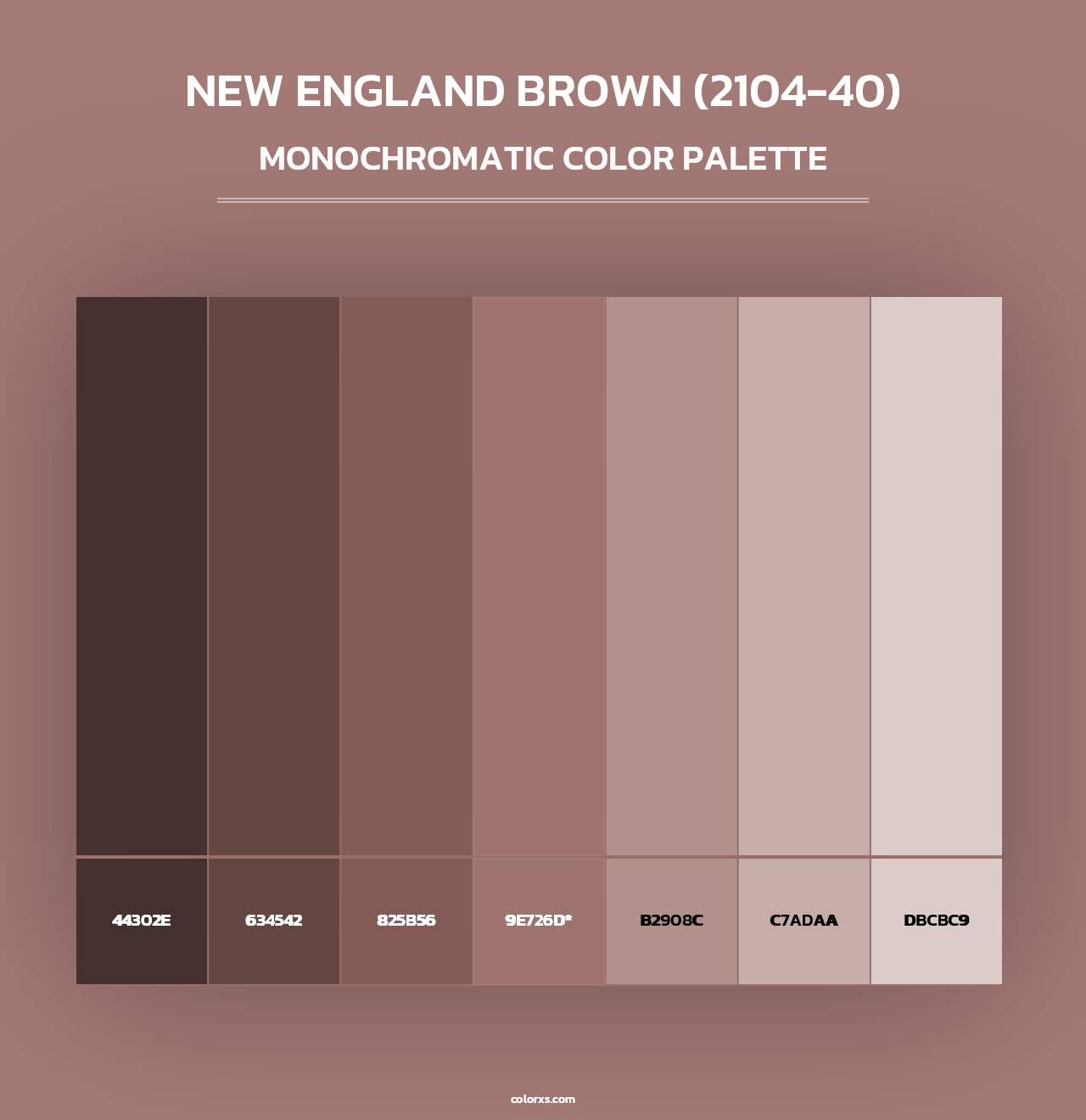 New England Brown (2104-40) - Monochromatic Color Palette