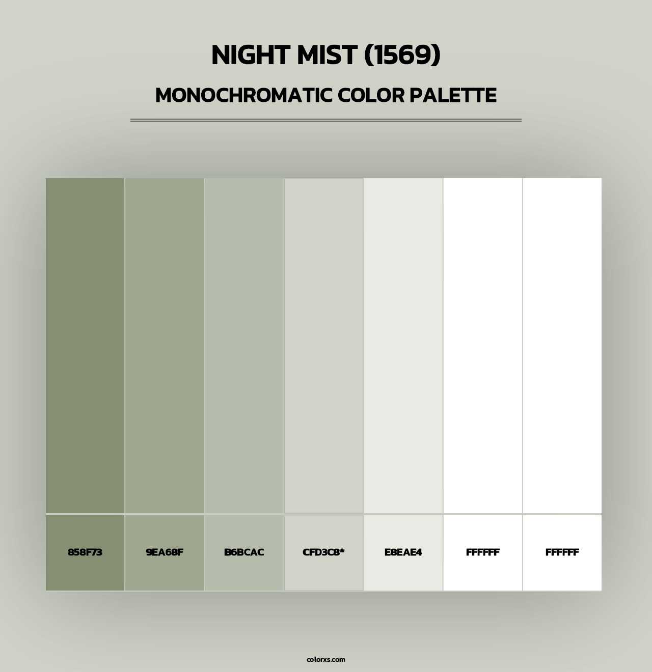 Night Mist (1569) - Monochromatic Color Palette