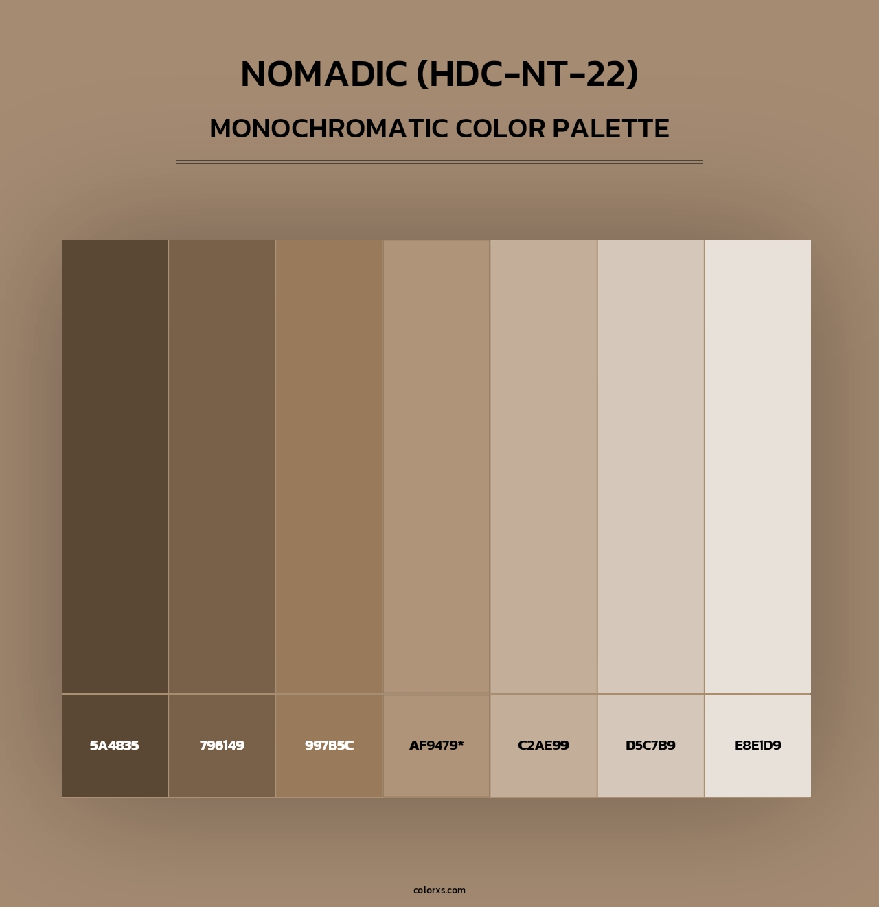 Nomadic (HDC-NT-22) - Monochromatic Color Palette