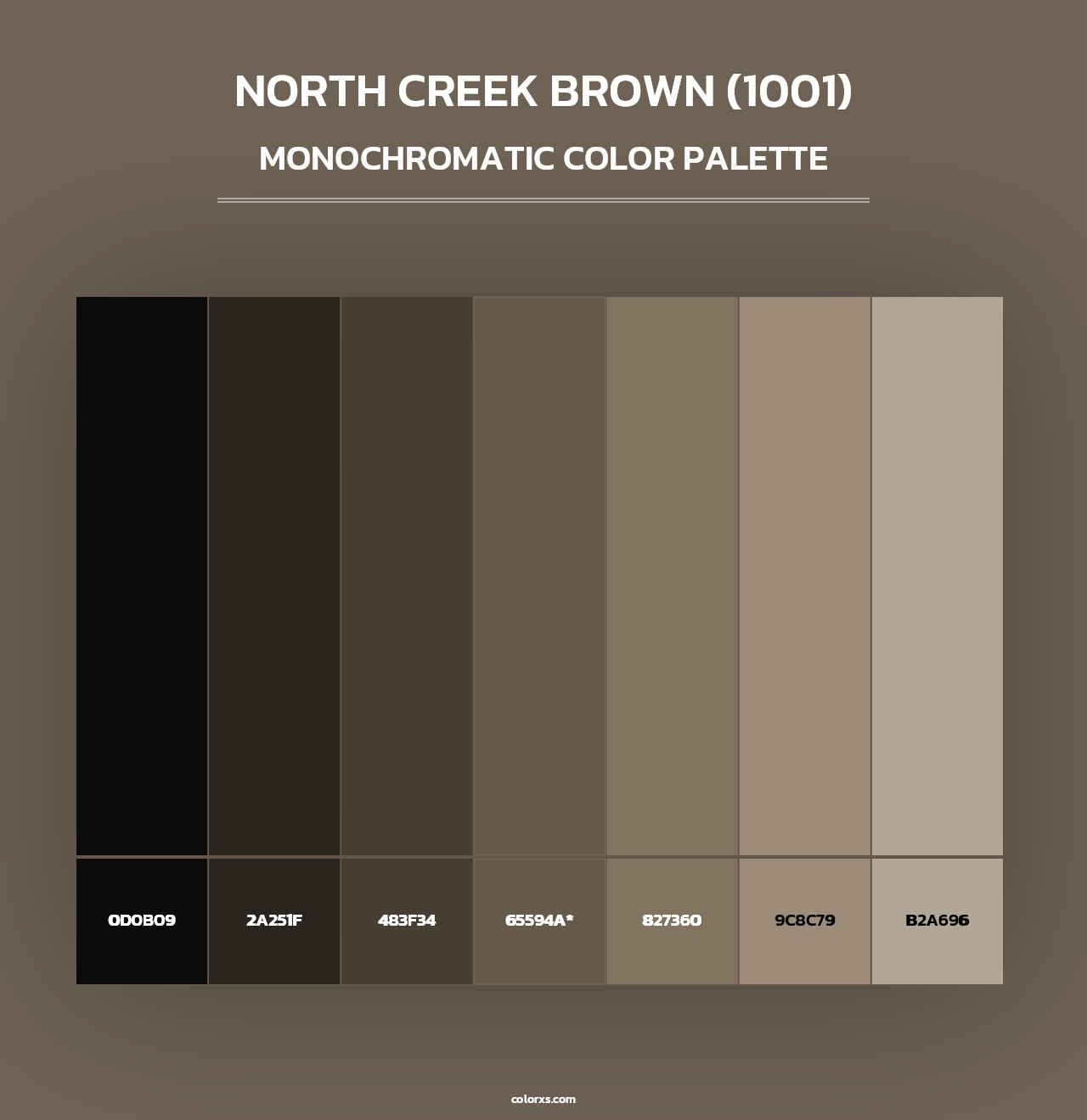 North Creek Brown (1001) - Monochromatic Color Palette