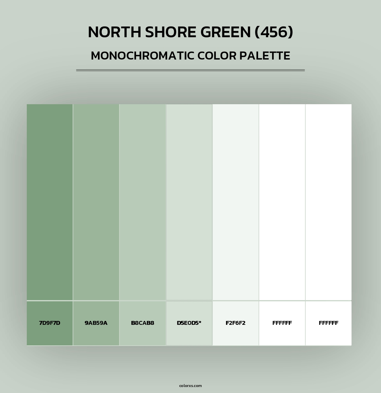 North Shore Green (456) - Monochromatic Color Palette
