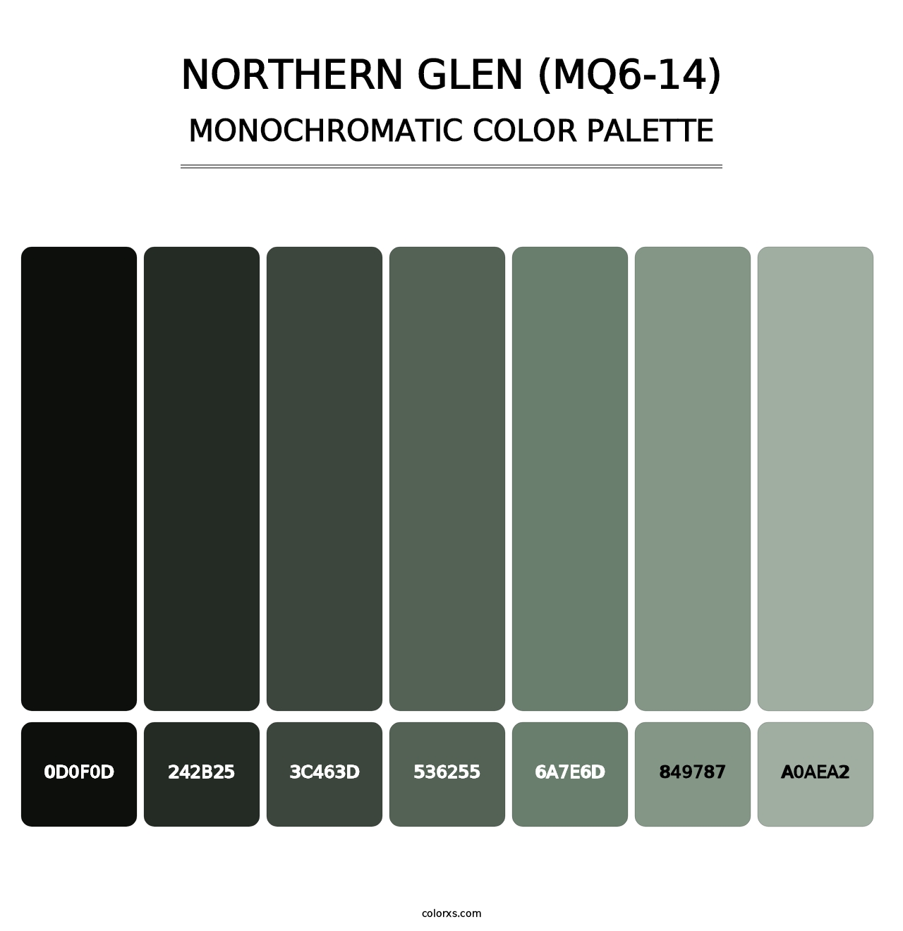 Northern Glen (MQ6-14) - Monochromatic Color Palette