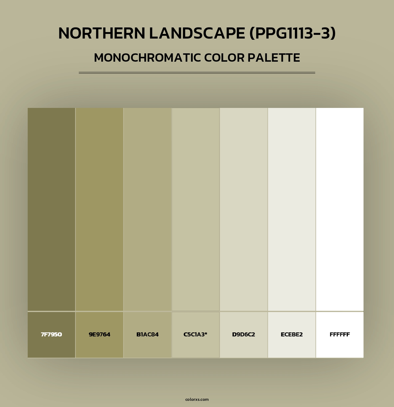 Northern Landscape (PPG1113-3) - Monochromatic Color Palette