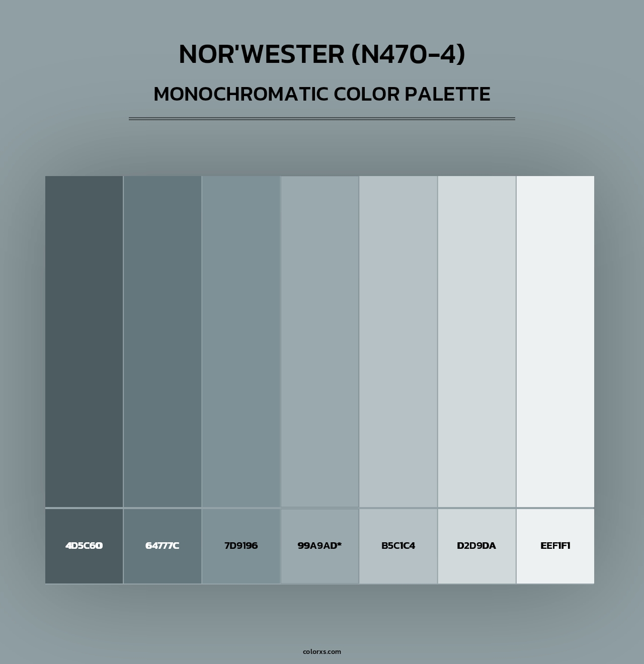 Nor'Wester (N470-4) - Monochromatic Color Palette
