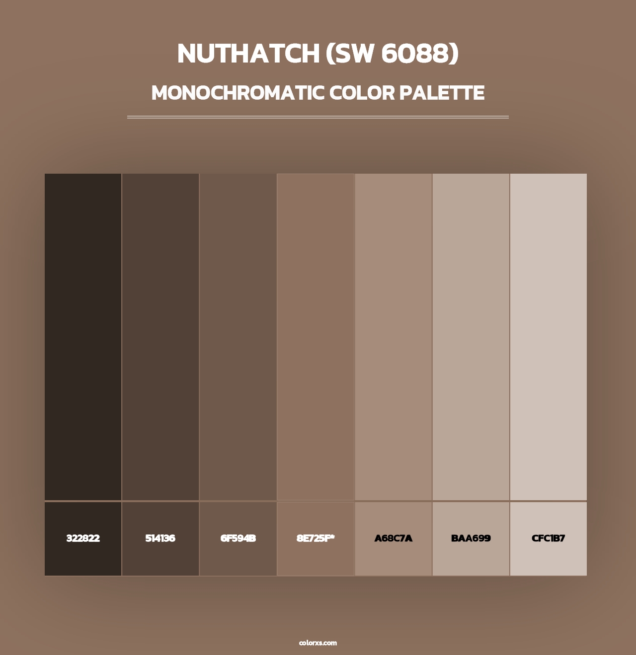 Nuthatch (SW 6088) - Monochromatic Color Palette