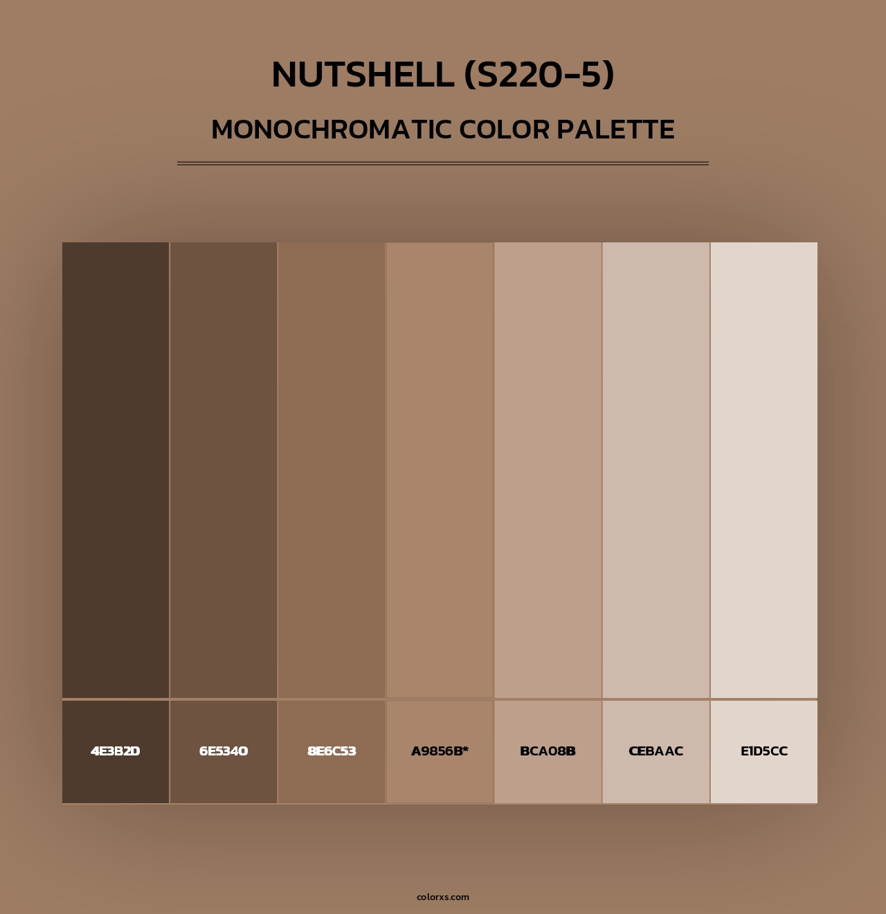 Nutshell (S220-5) - Monochromatic Color Palette