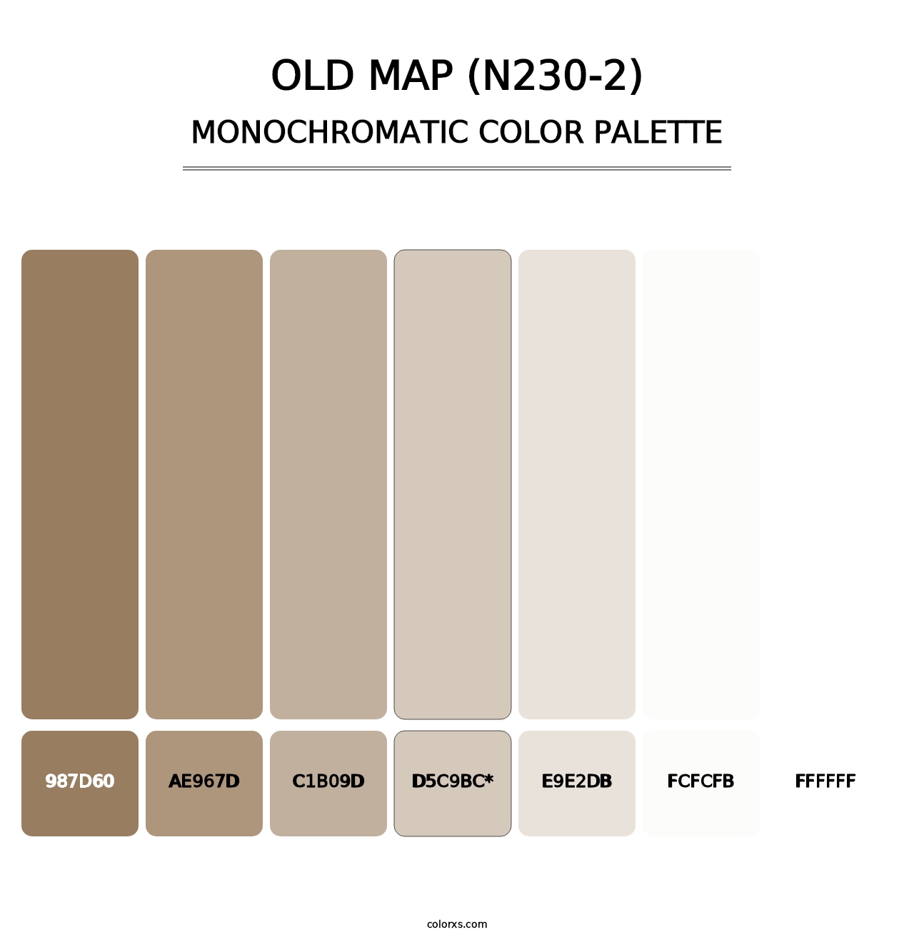 Old Map (N230-2) - Monochromatic Color Palette