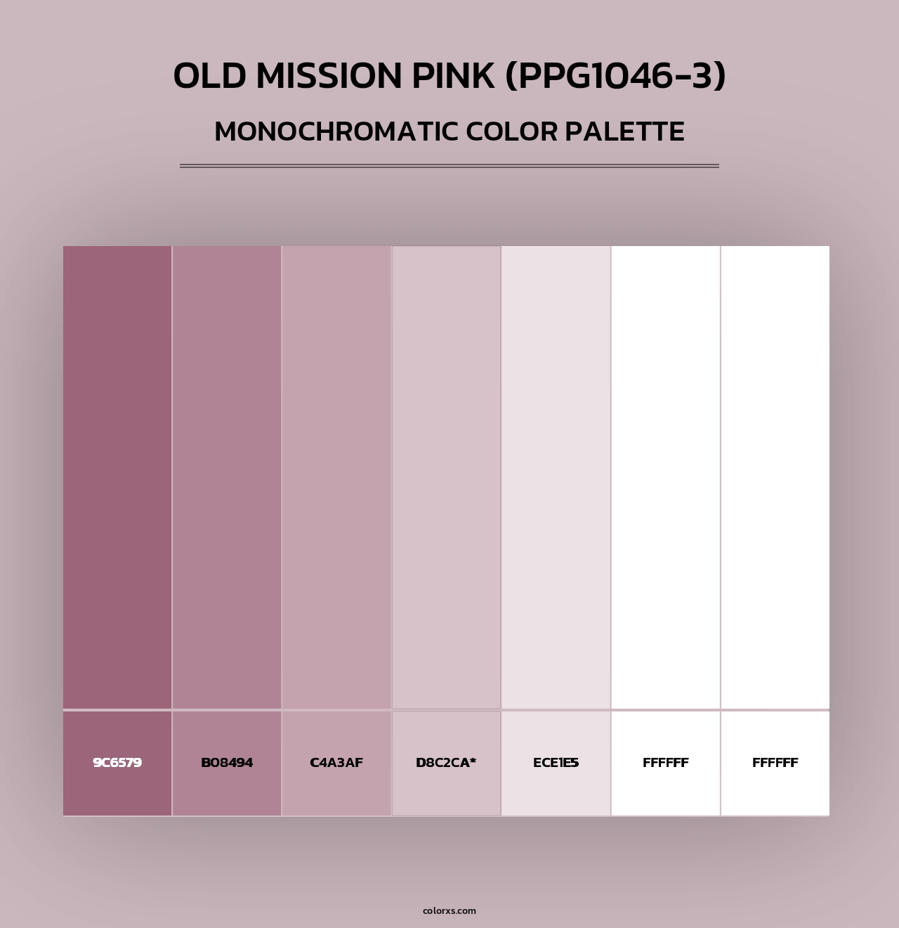 Old Mission Pink (PPG1046-3) - Monochromatic Color Palette