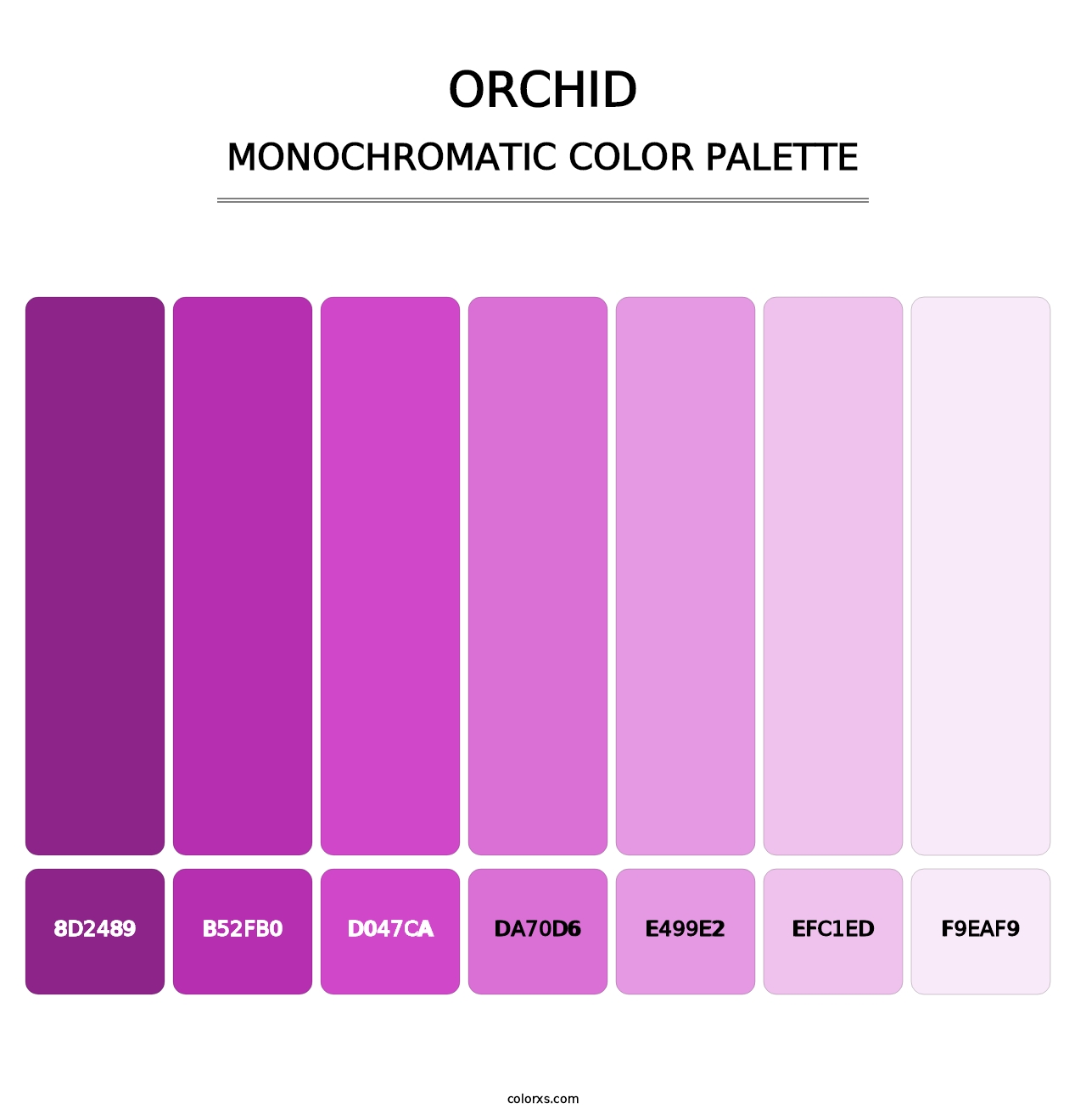 Orchid - Monochromatic Color Palette