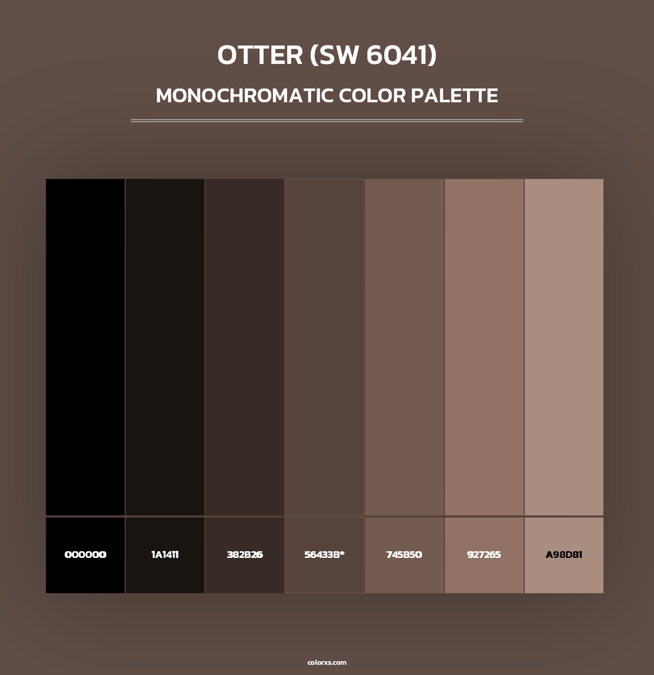 Otter (SW 6041) - Monochromatic Color Palette