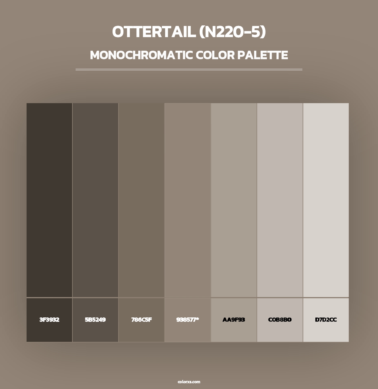 Ottertail (N220-5) - Monochromatic Color Palette