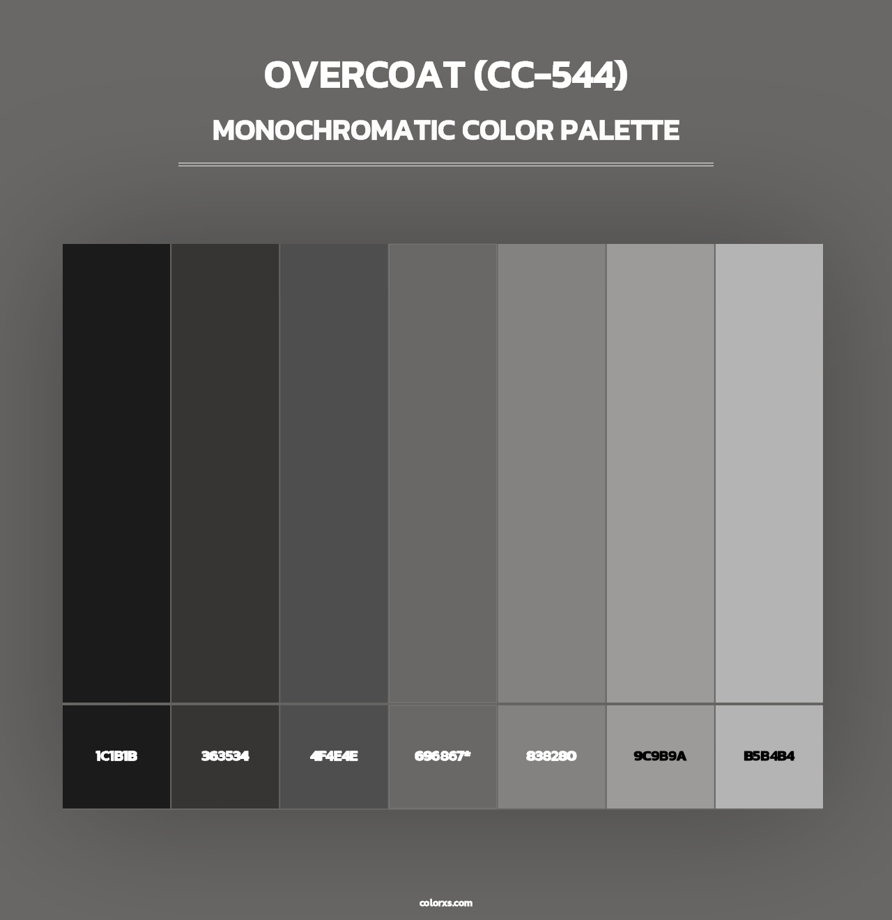 Overcoat (CC-544) - Monochromatic Color Palette