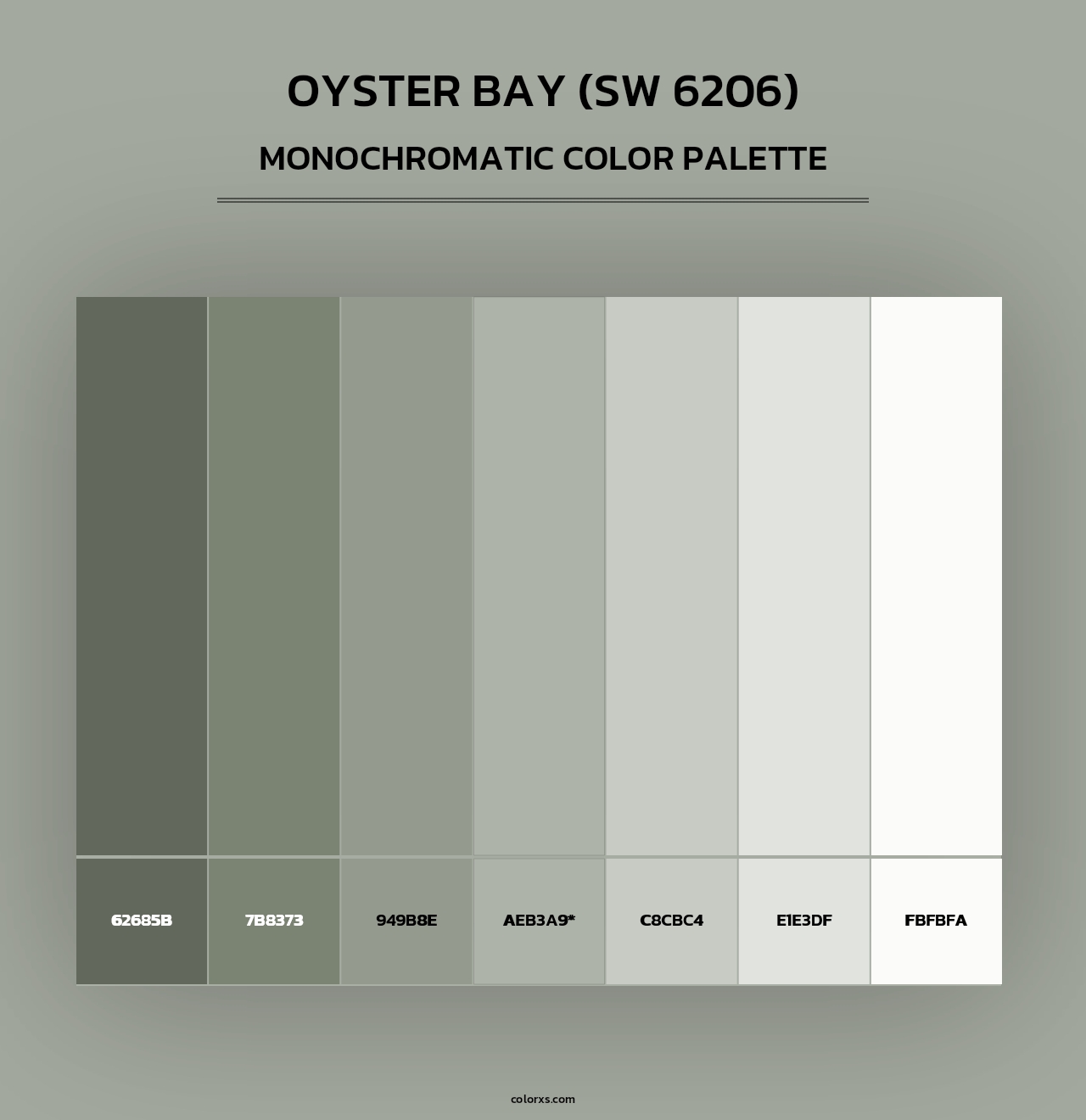 Oyster Bay (SW 6206) - Monochromatic Color Palette