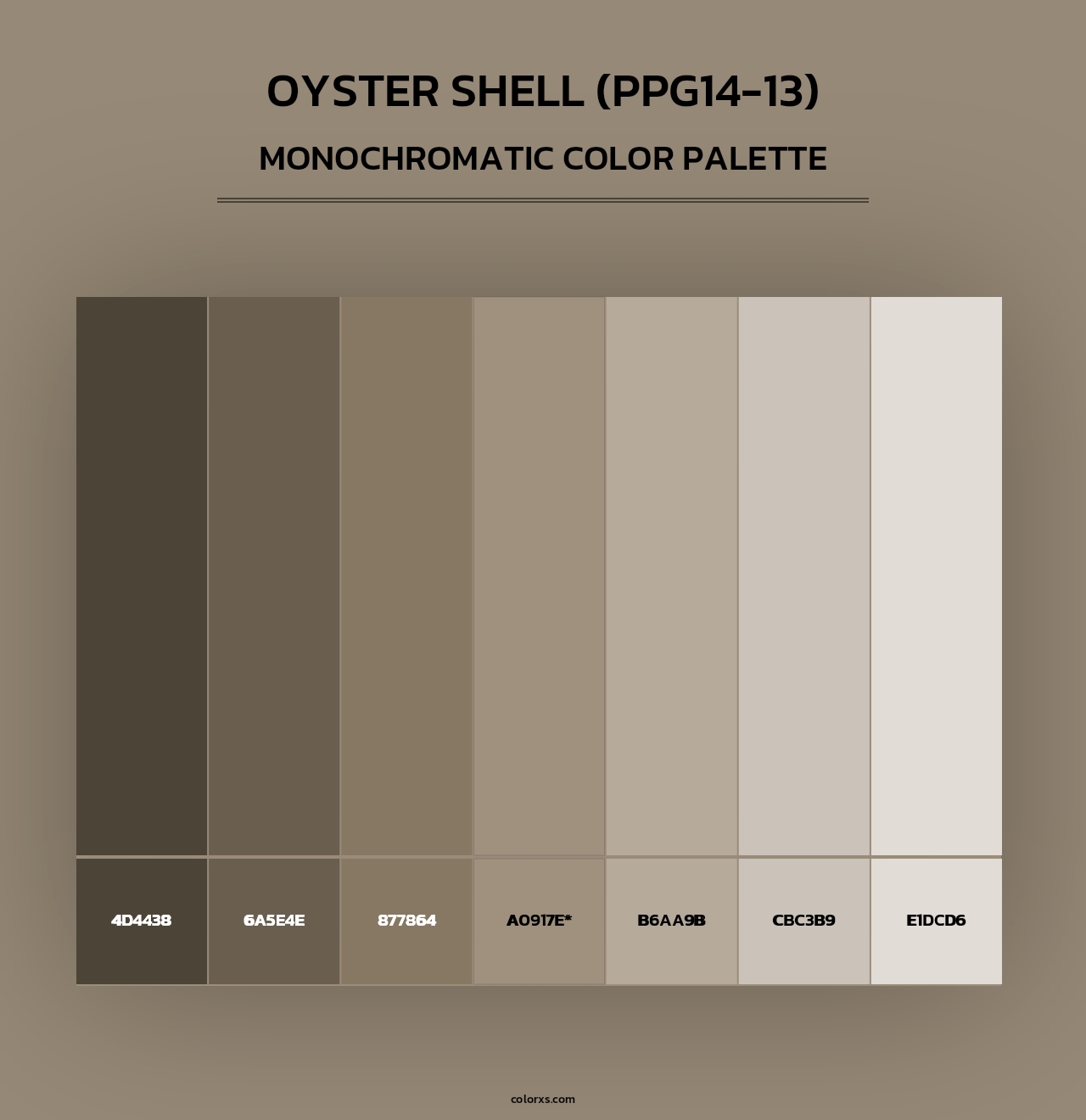 Oyster Shell (PPG14-13) - Monochromatic Color Palette