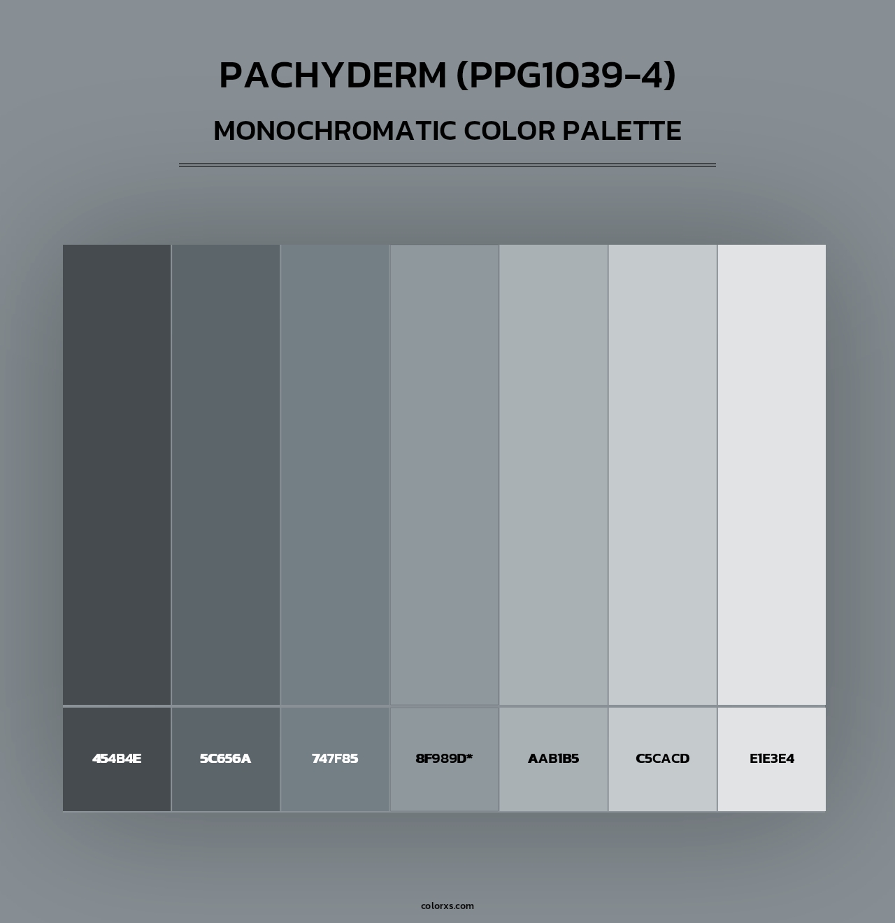 Pachyderm (PPG1039-4) - Monochromatic Color Palette