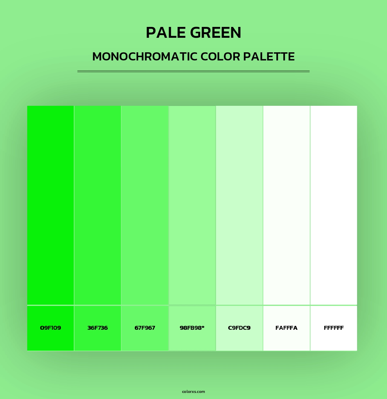 Pale Green - Monochromatic Color Palette