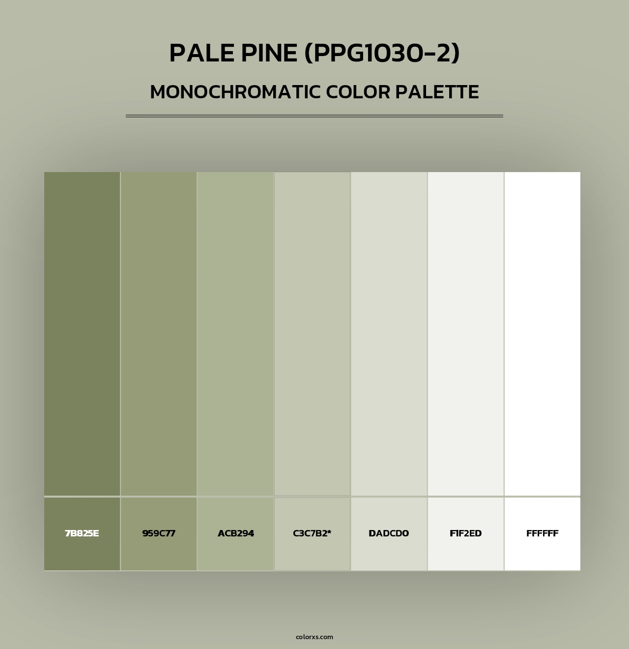 Pale Pine (PPG1030-2) - Monochromatic Color Palette