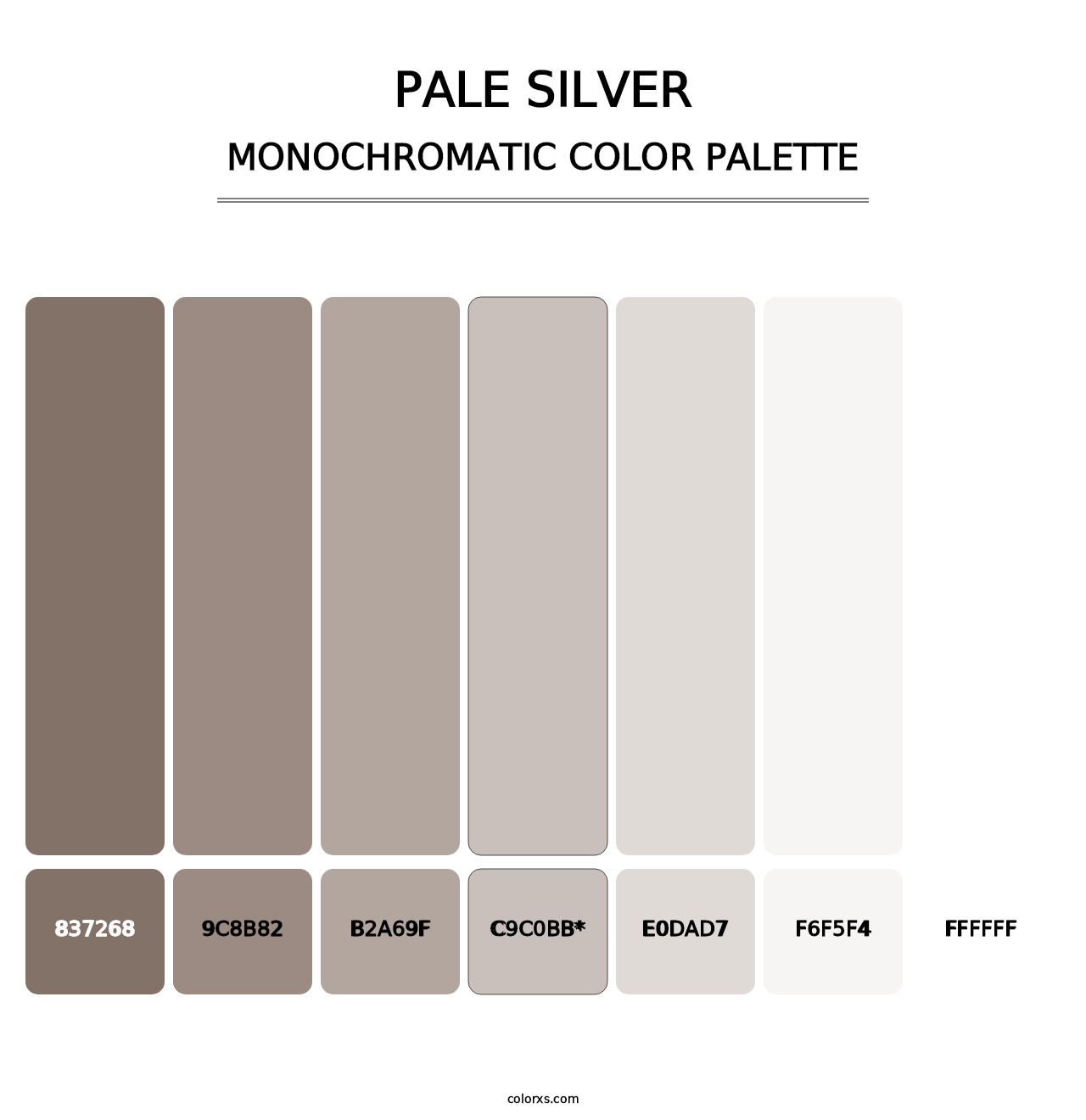 Pale Silver - Monochromatic Color Palette