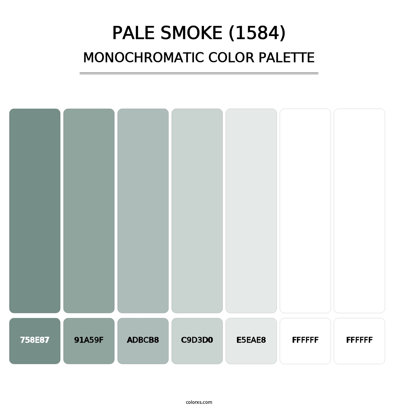 Pale Smoke (1584) - Monochromatic Color Palette