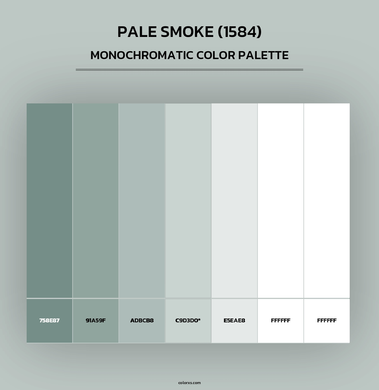Pale Smoke (1584) - Monochromatic Color Palette
