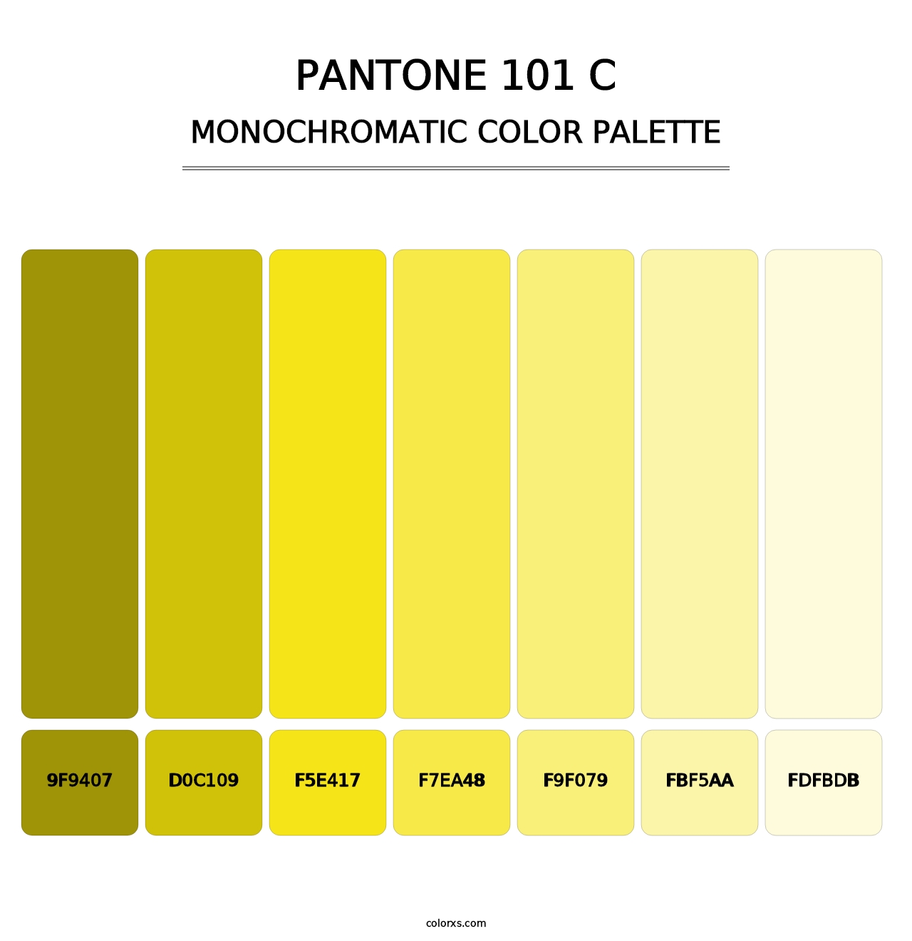 PANTONE 101 C - Monochromatic Color Palette