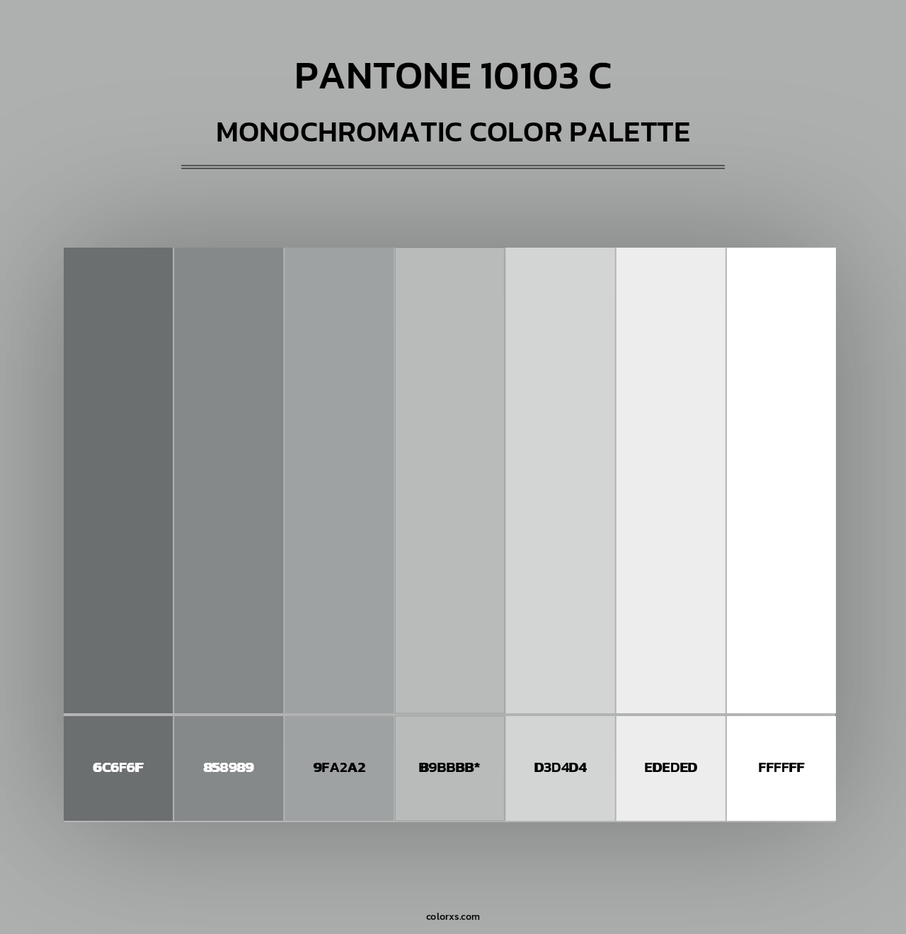 PANTONE 10103 C - Monochromatic Color Palette