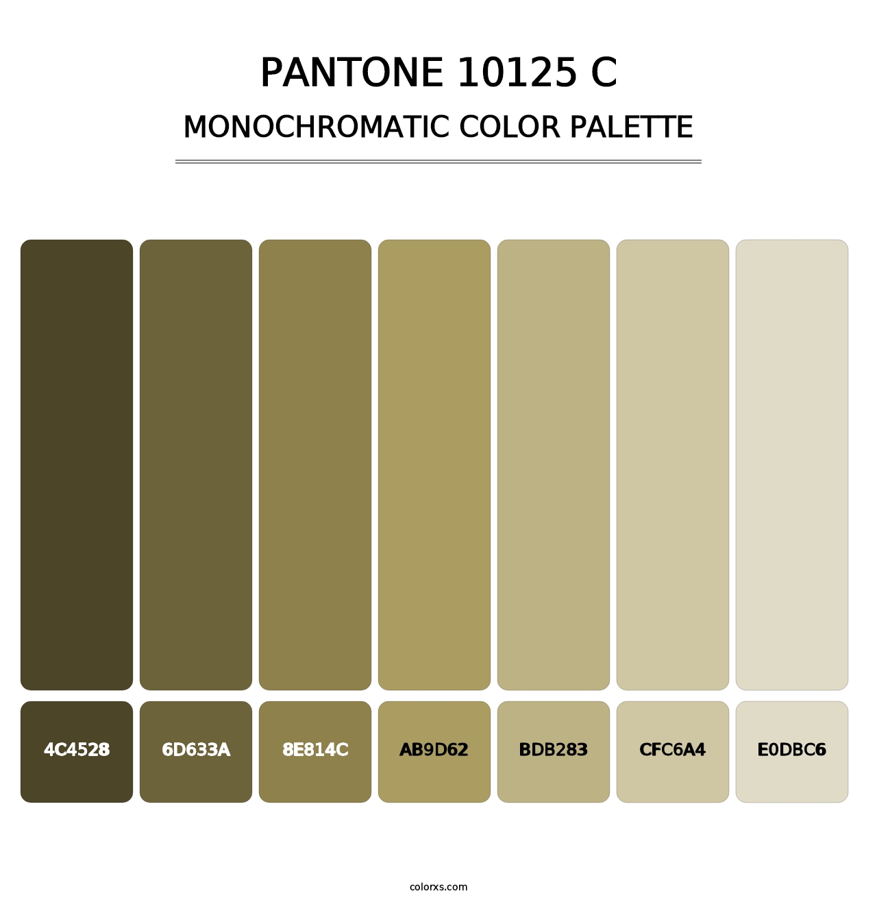 PANTONE 10125 C - Monochromatic Color Palette