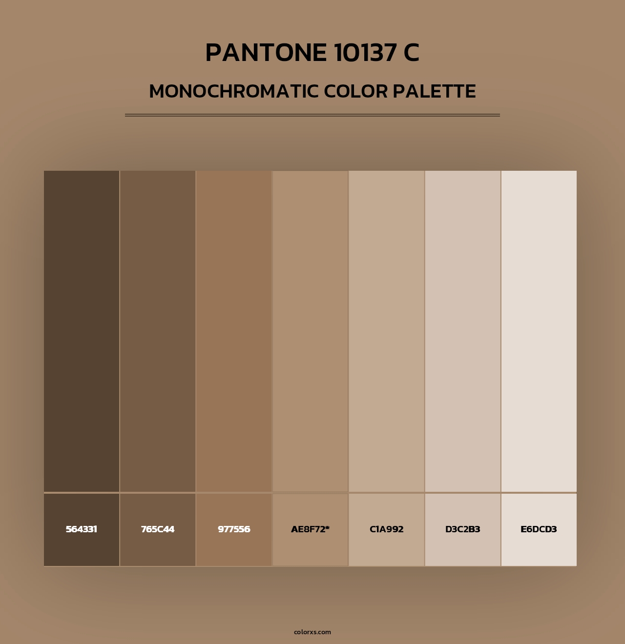 PANTONE 10137 C - Monochromatic Color Palette