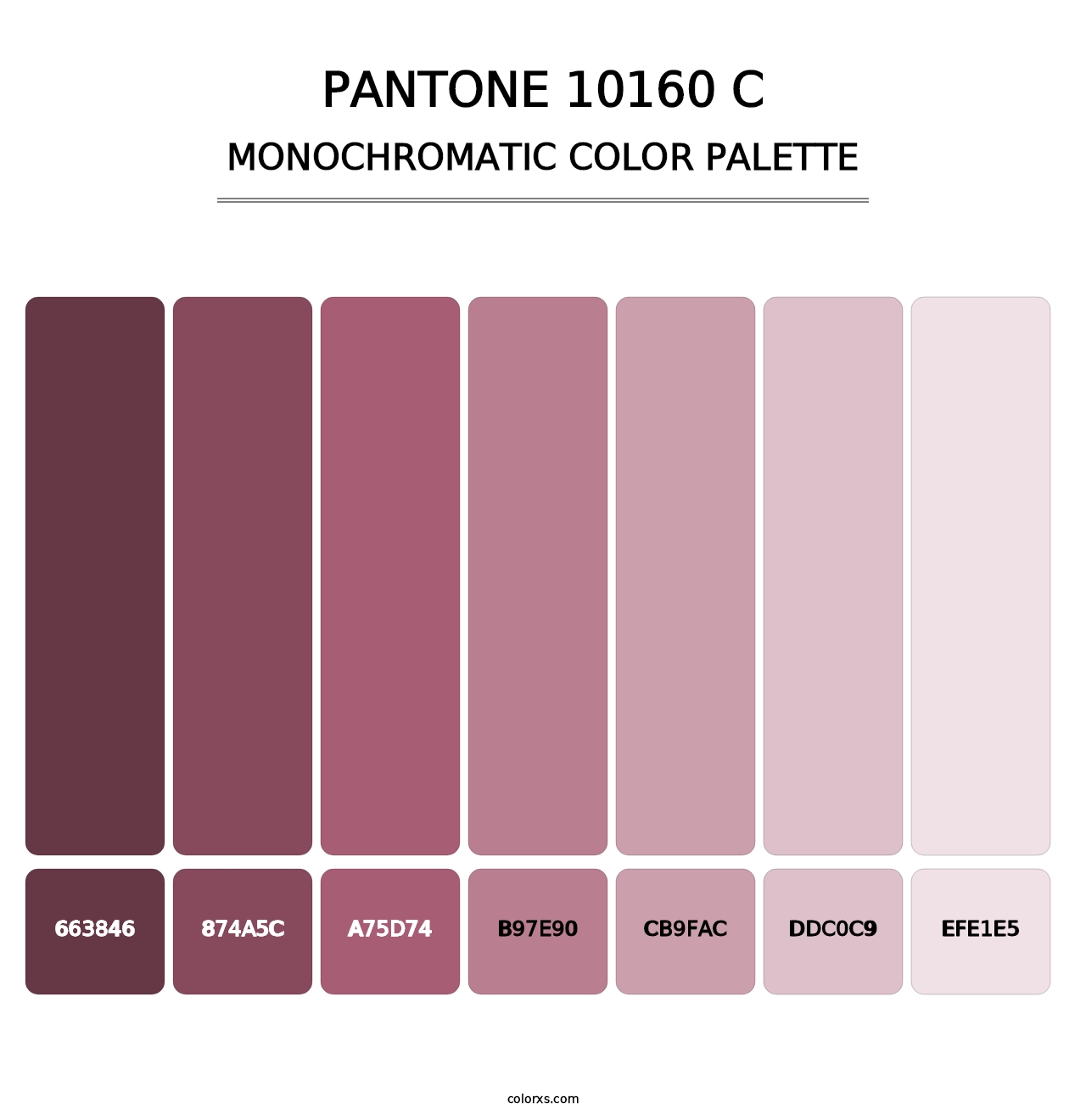 PANTONE 10160 C - Monochromatic Color Palette
