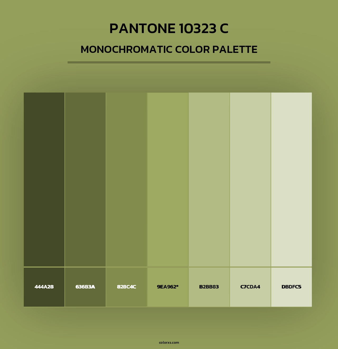 PANTONE 10323 C - Monochromatic Color Palette