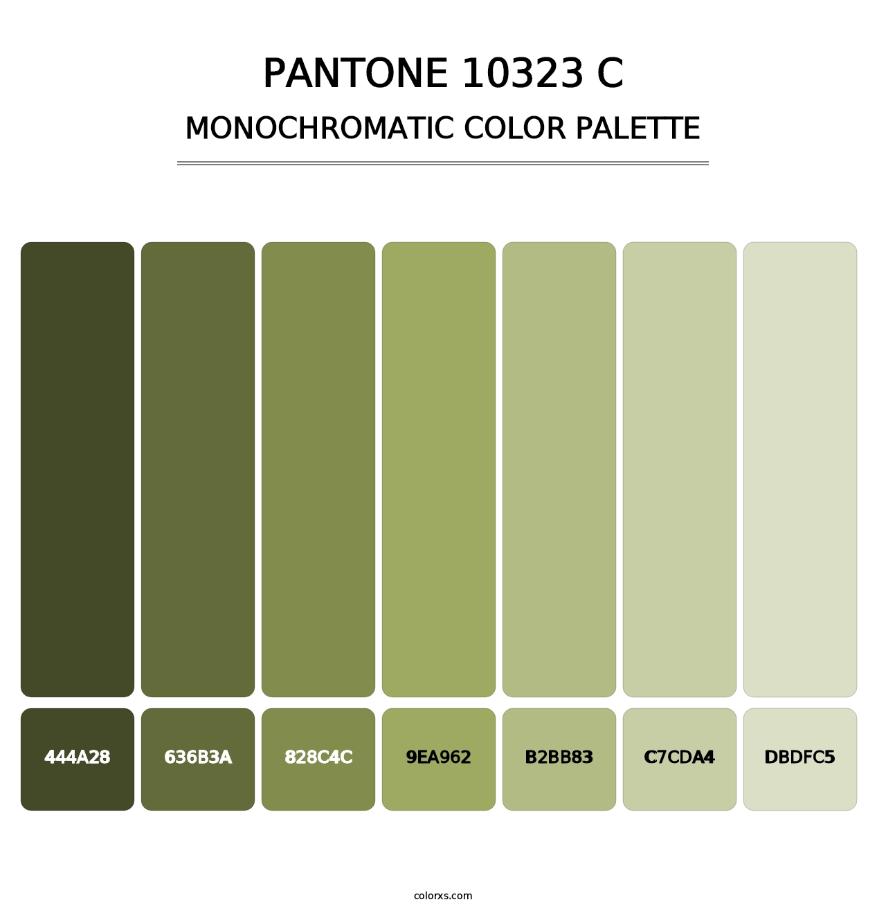 PANTONE 10323 C - Monochromatic Color Palette