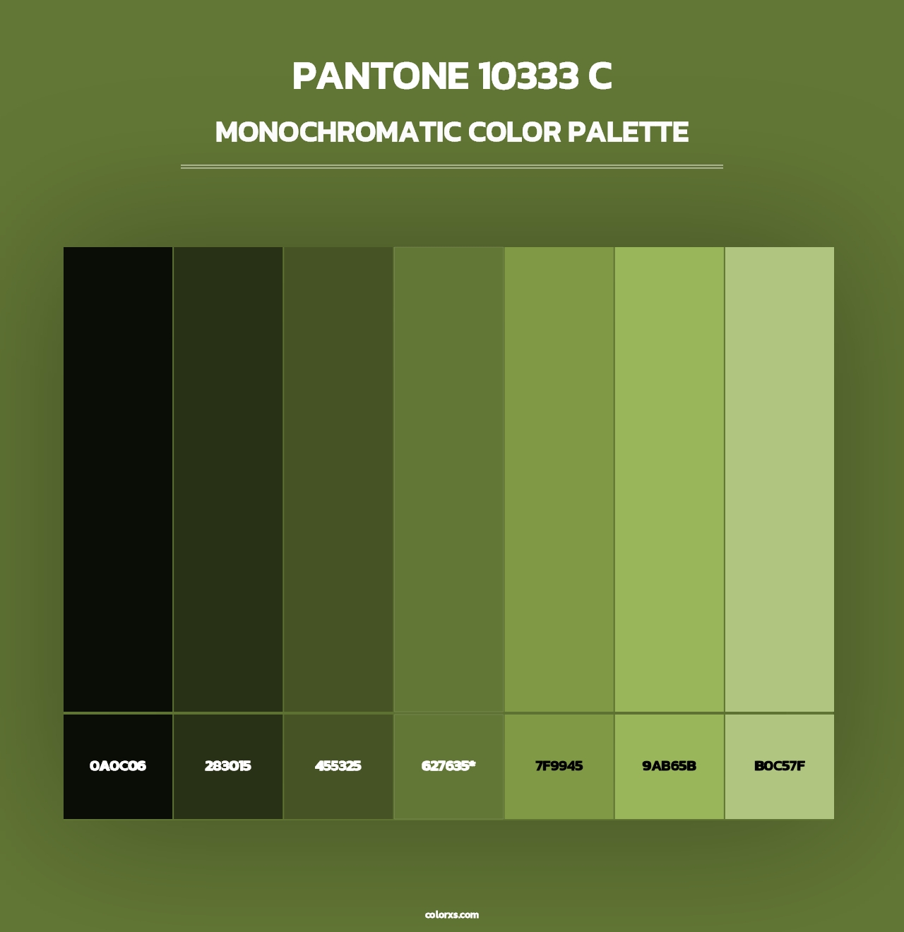 PANTONE 10333 C - Monochromatic Color Palette