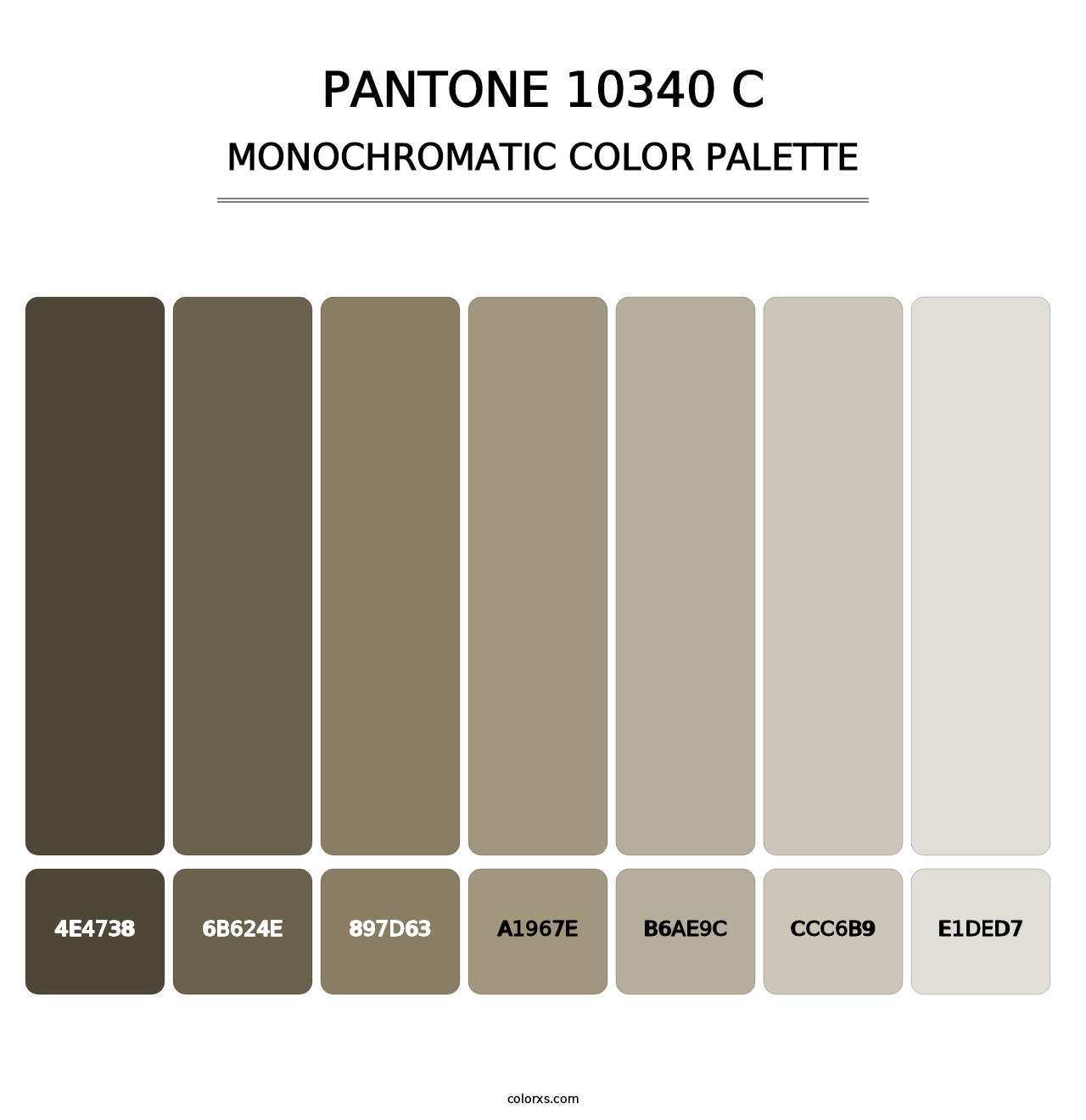 PANTONE 10340 C - Monochromatic Color Palette