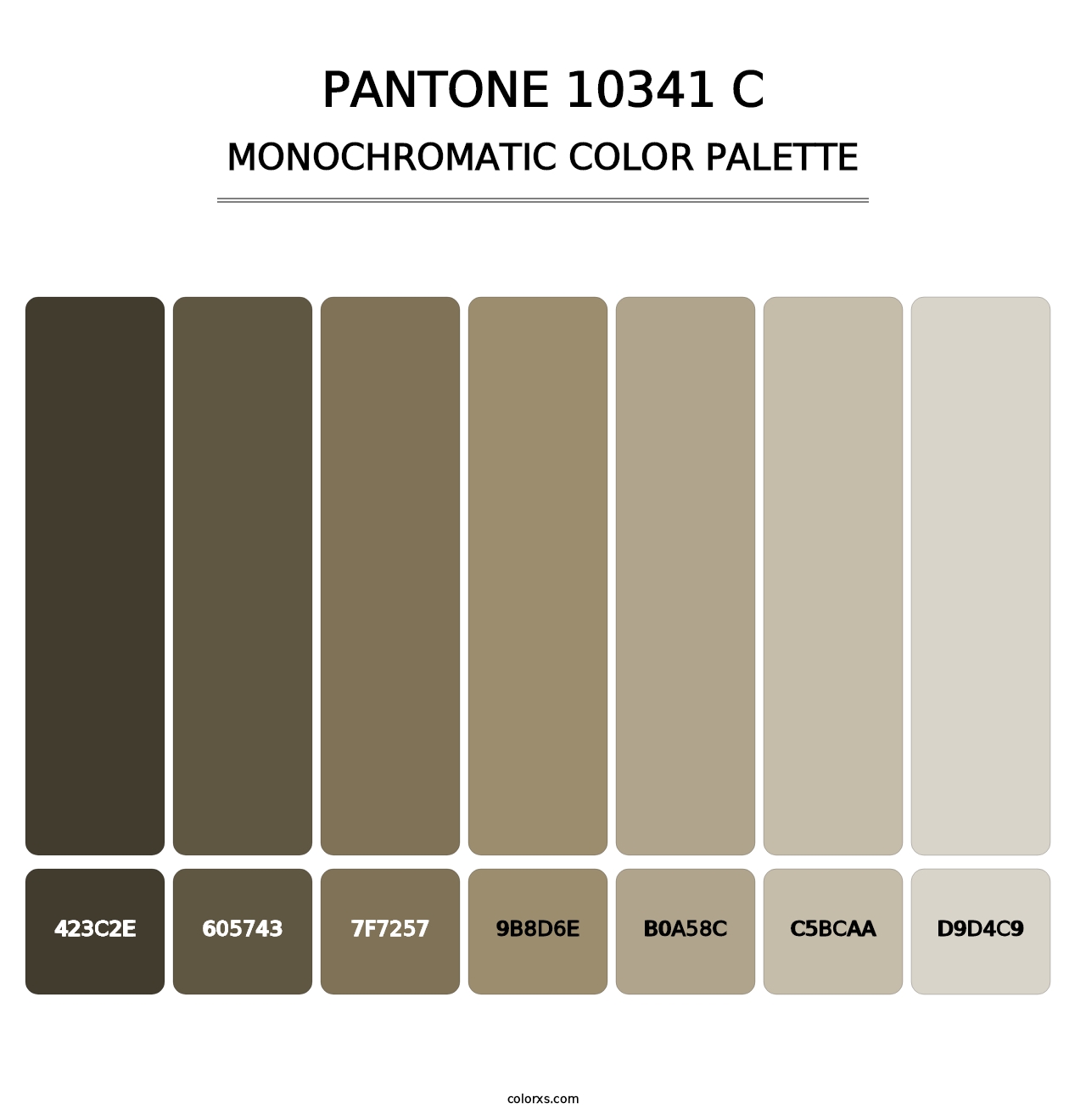 PANTONE 10341 C - Monochromatic Color Palette