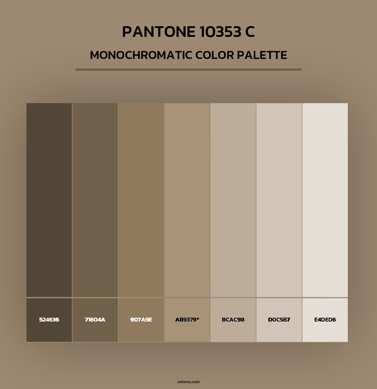 PANTONE 10353 C - Monochromatic Color Palette