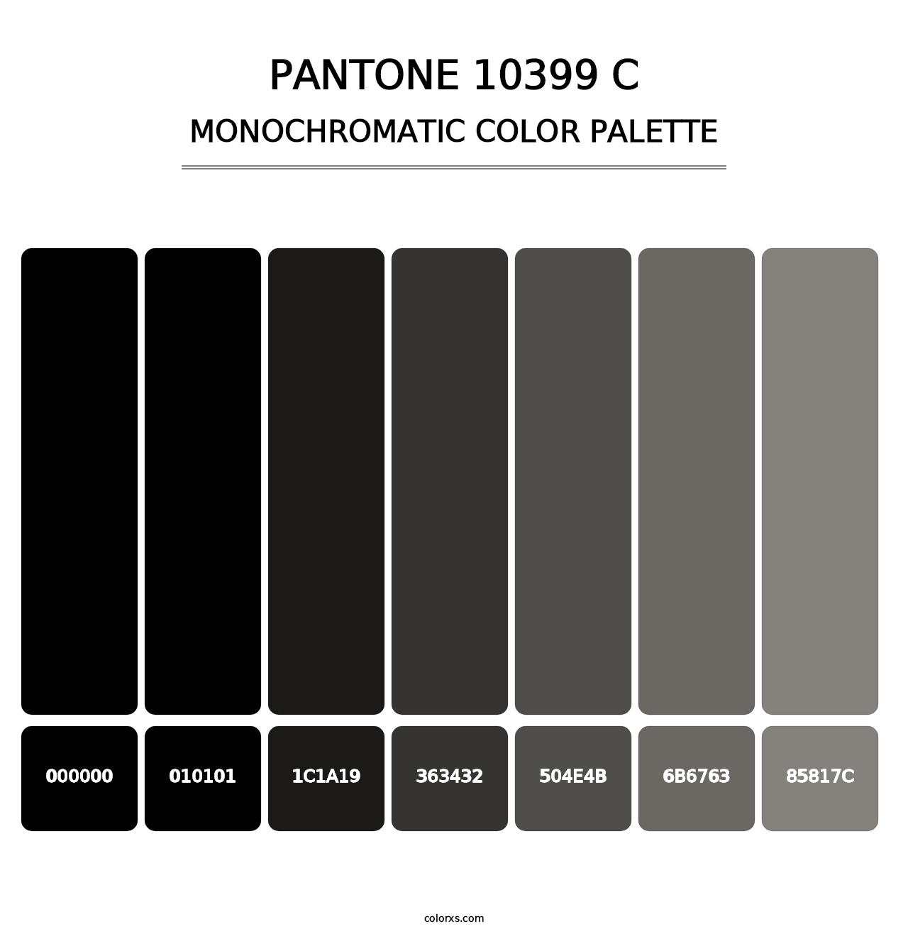PANTONE 10399 C - Monochromatic Color Palette