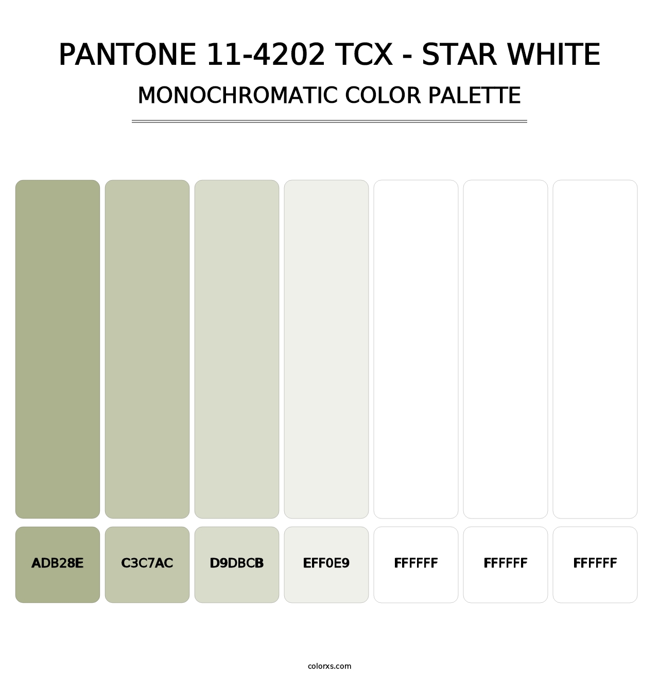 PANTONE 11-4202 TCX - Star White - Monochromatic Color Palette
