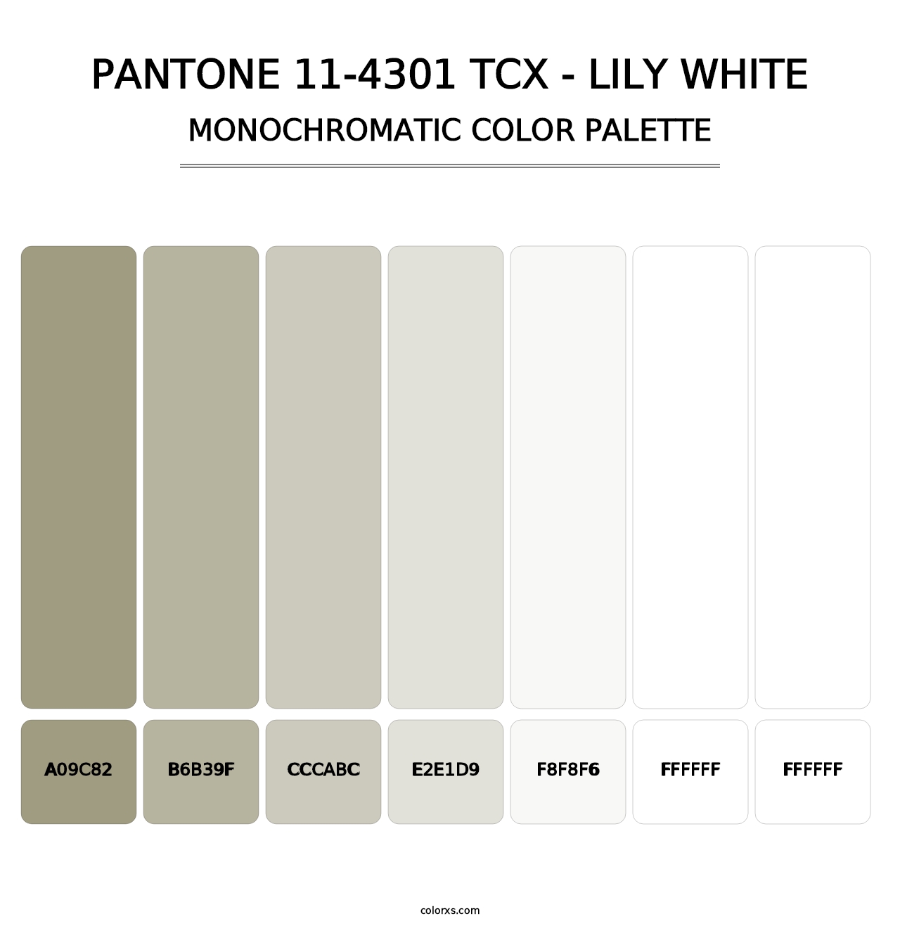 PANTONE 11-4301 TCX - Lily White - Monochromatic Color Palette