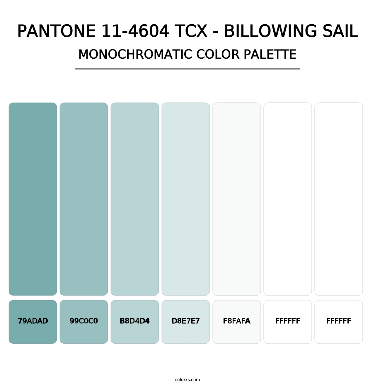 PANTONE 11-4604 TCX - Billowing Sail - Monochromatic Color Palette