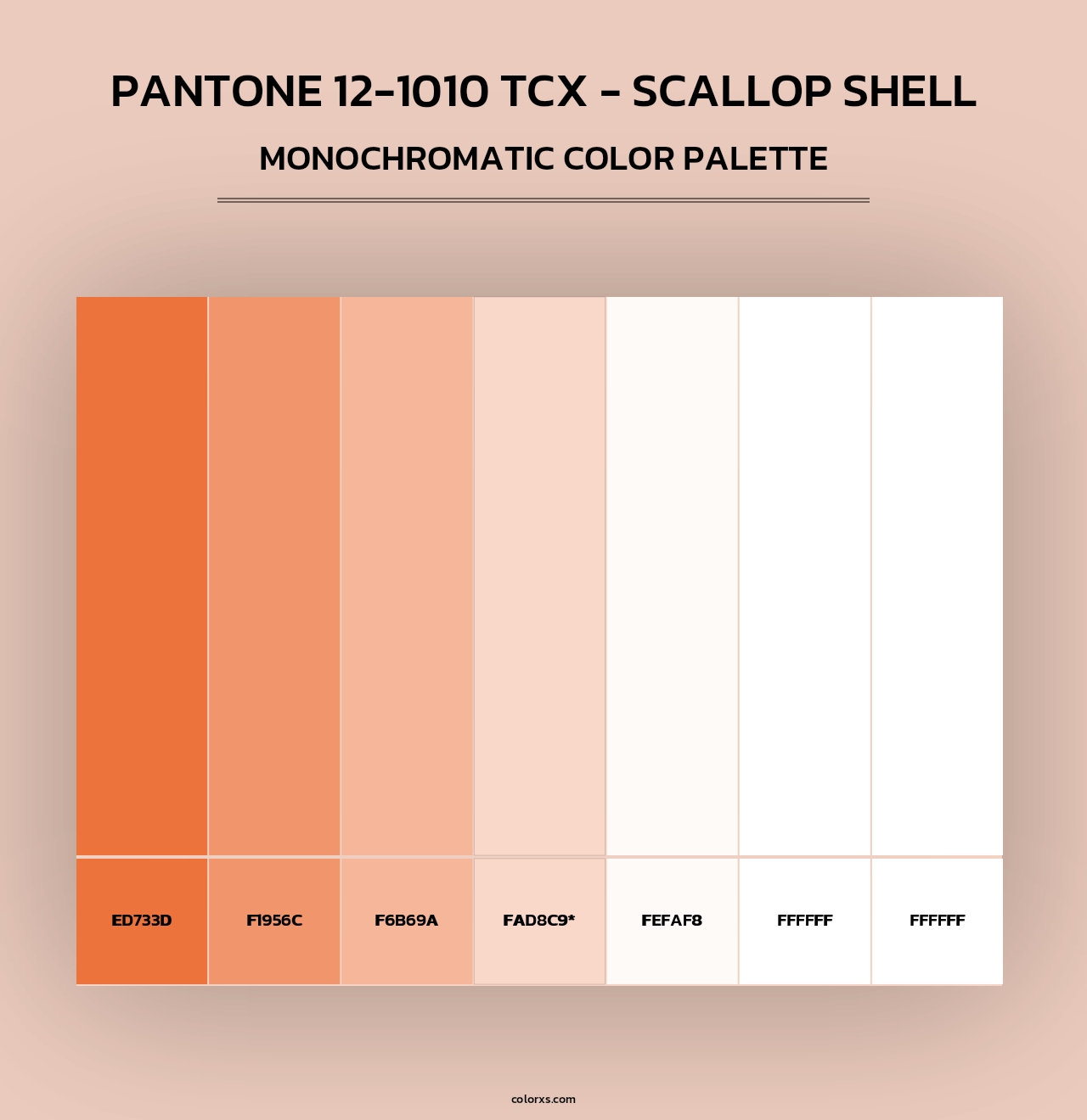 PANTONE 12-1010 TCX - Scallop Shell - Monochromatic Color Palette